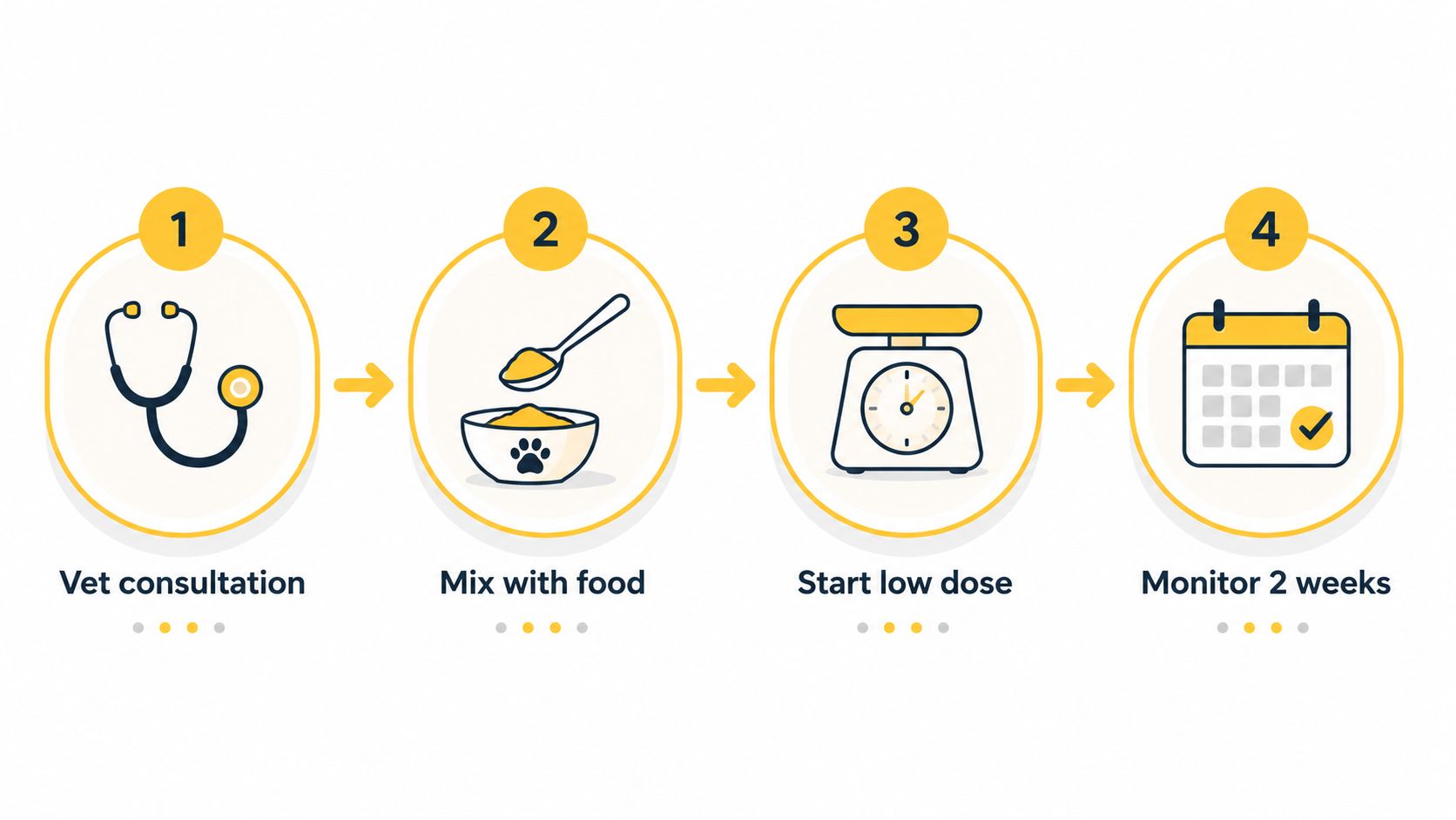 A four-step infographic showing the process for introducing digestive enzymes to a dog's diet.