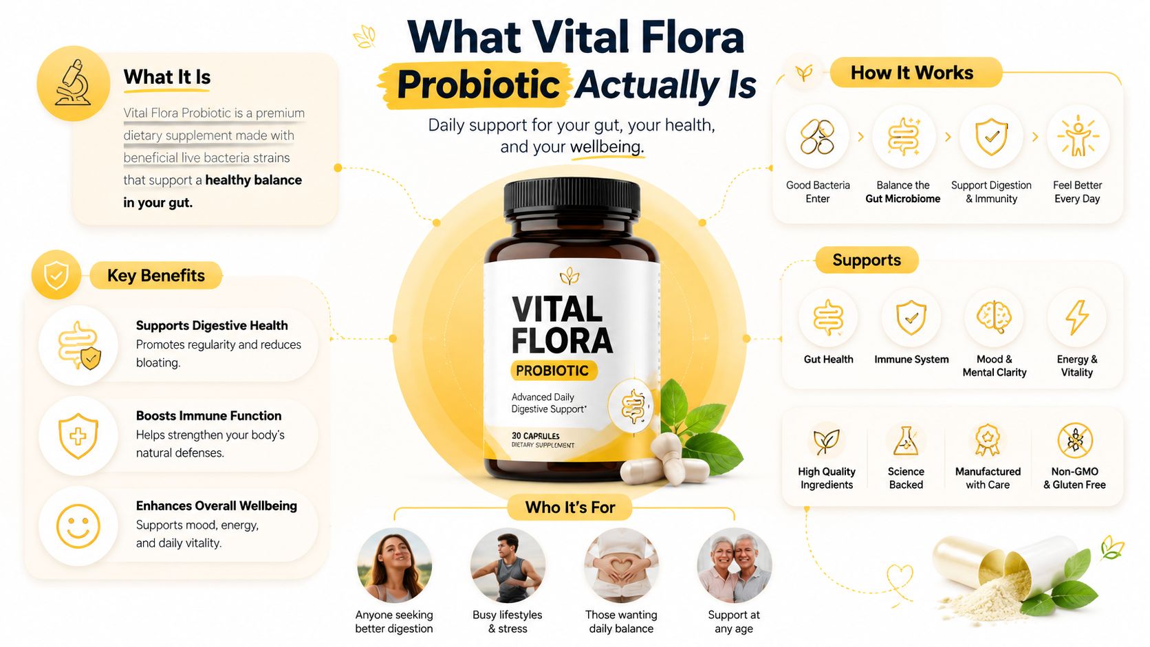 An infographic showing the health benefits, ingredients, and target audience for Vital Flora Probiotic daily supplements.