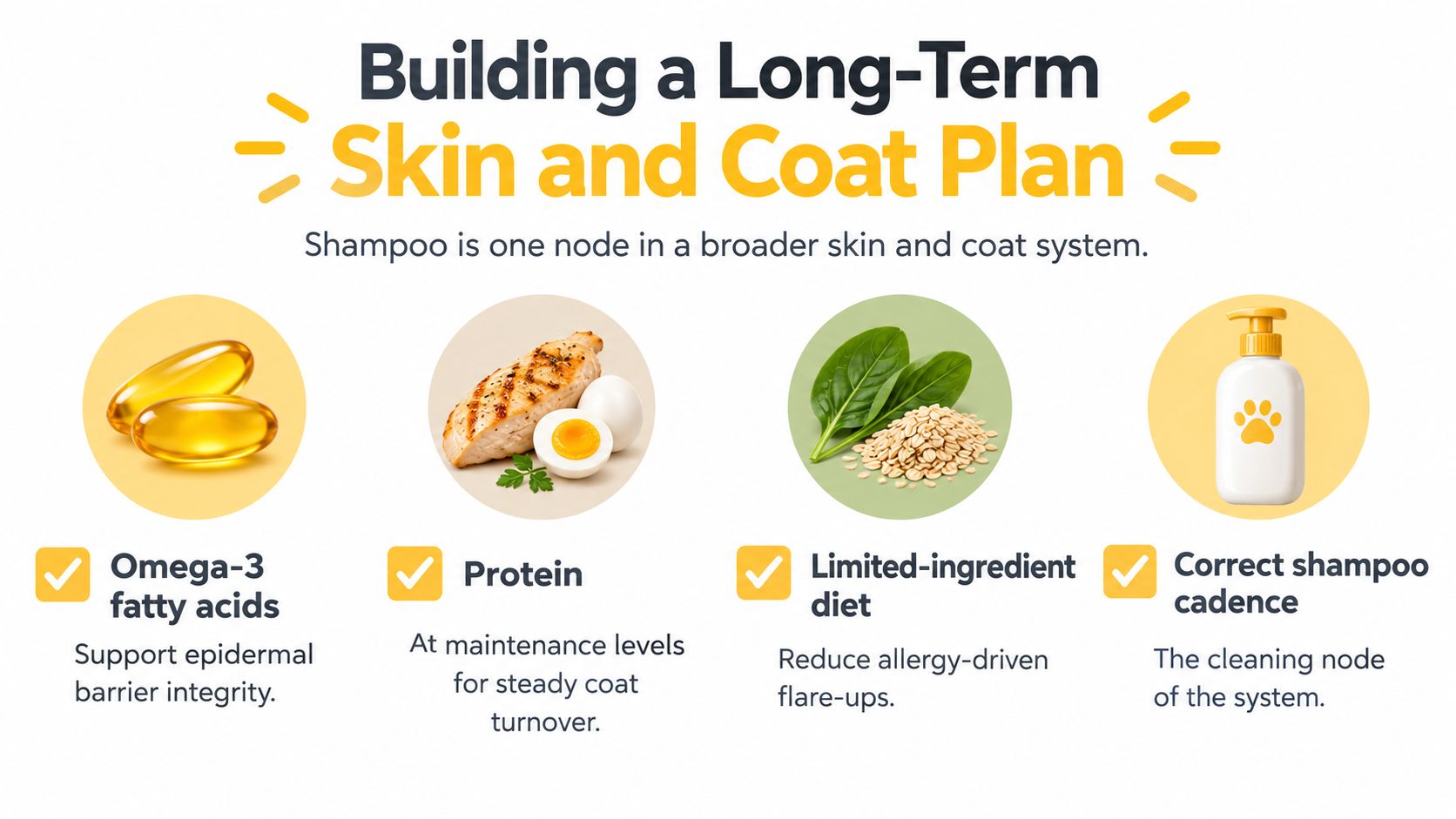 An infographic detailing a long-term skin and coat plan for pets including diet, nutrients, and proper shampooing.