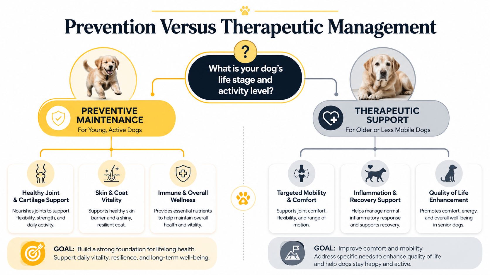 A comparison chart explaining the differences between preventative joint health maintenance and therapeutic support for dogs.