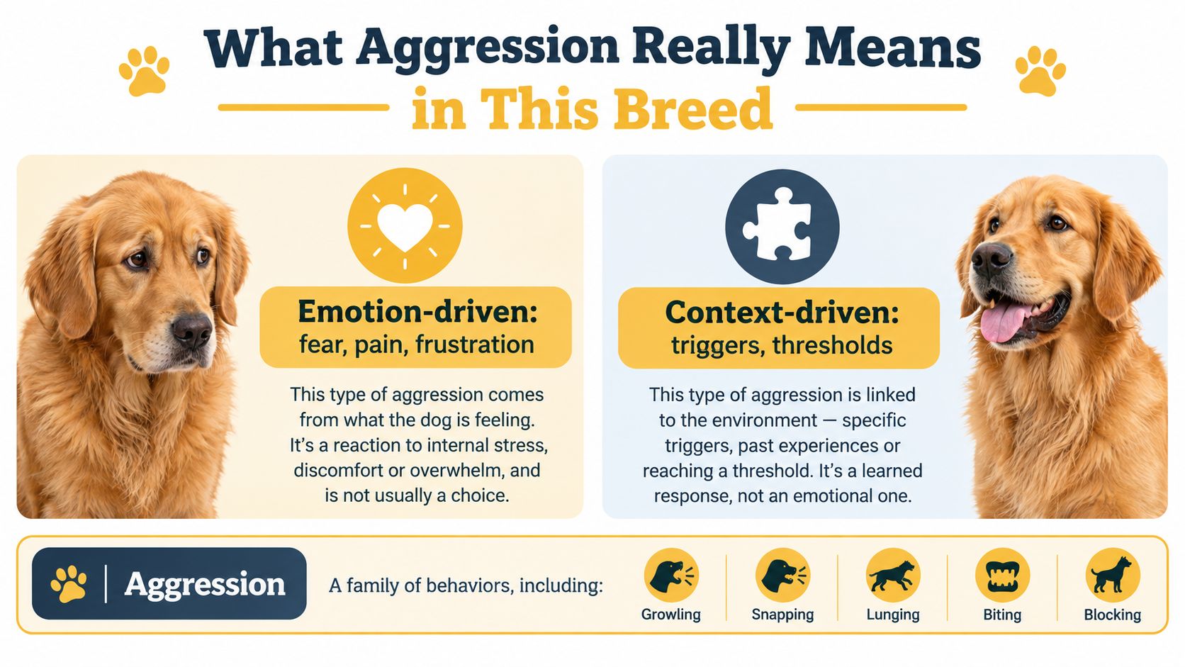 An infographic explaining that dog aggression is emotion or context-driven, listing various aggressive behaviors like growling and biting.