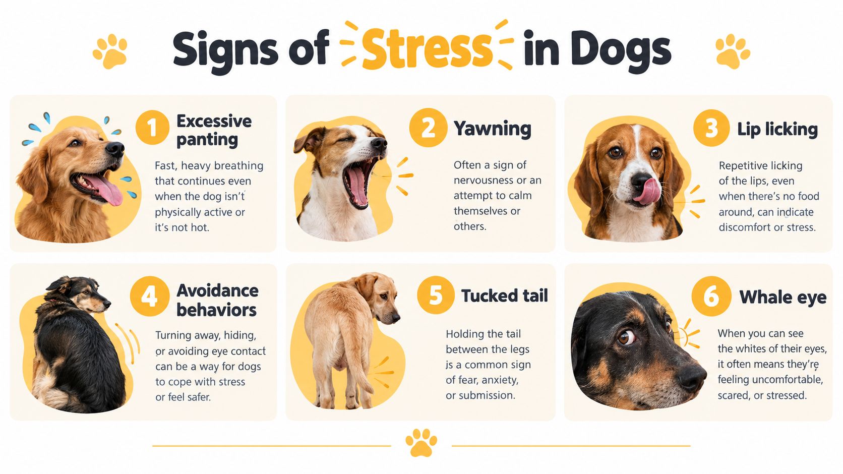An infographic showing six common signs of stress in dogs, including panting, yawning, lip licking, and avoidance.