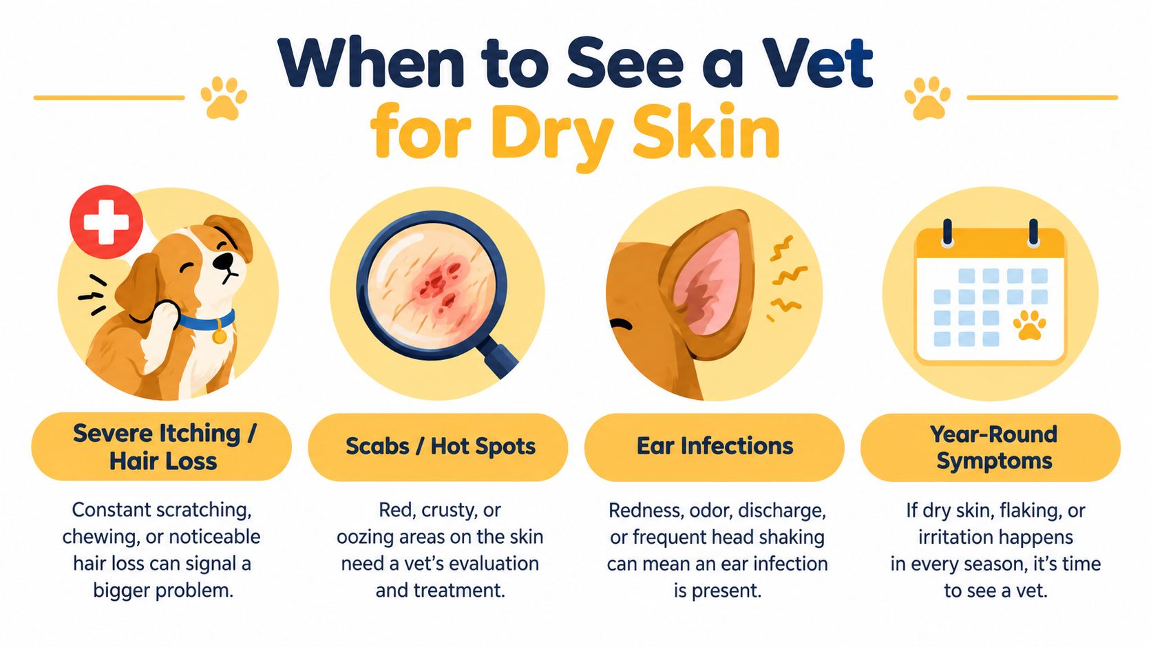 An infographic showing four warning signs of dry skin in dogs that require veterinary attention.