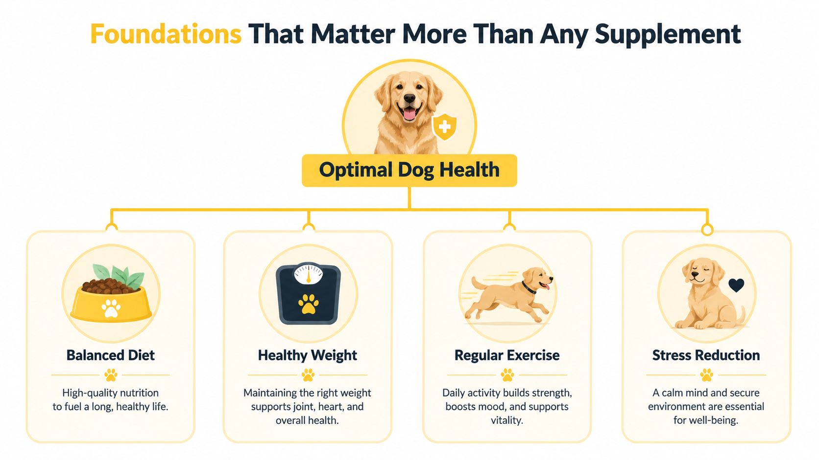 A diagram illustrating four pillars of optimal dog health: balanced diet, healthy weight, regular exercise, and stress reduction.