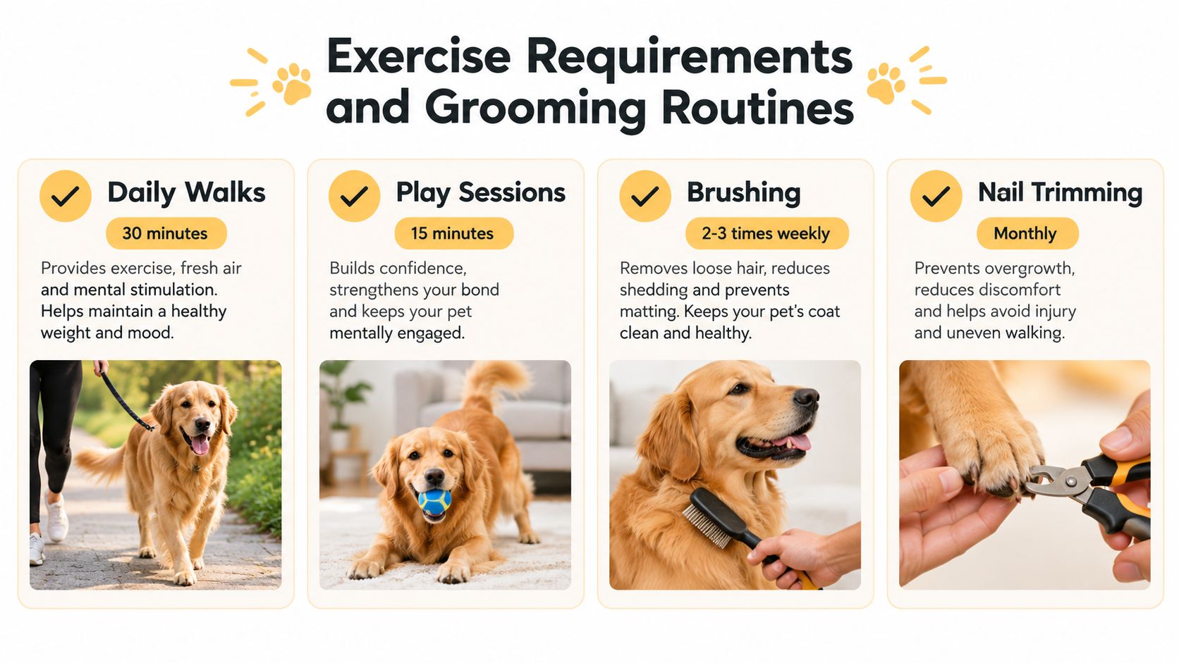 A chart illustrating essential daily exercise and weekly grooming requirements for a healthy golden retriever.