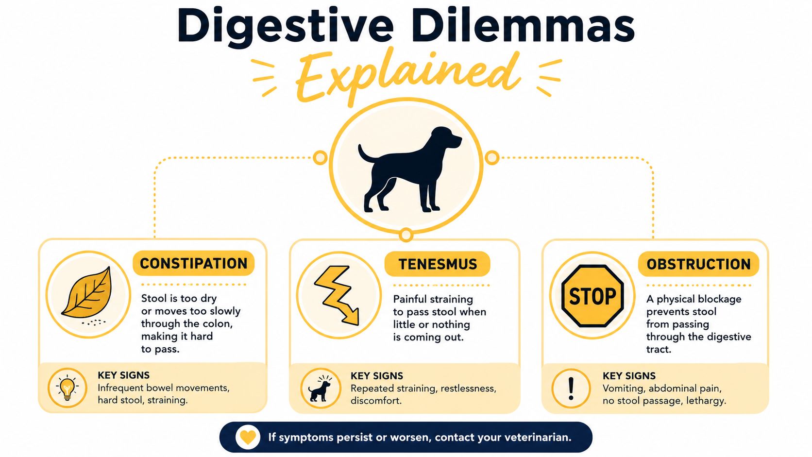 An infographic detailing common canine digestive problems like constipation, tenesmus, and obstruction with their respective symptoms.