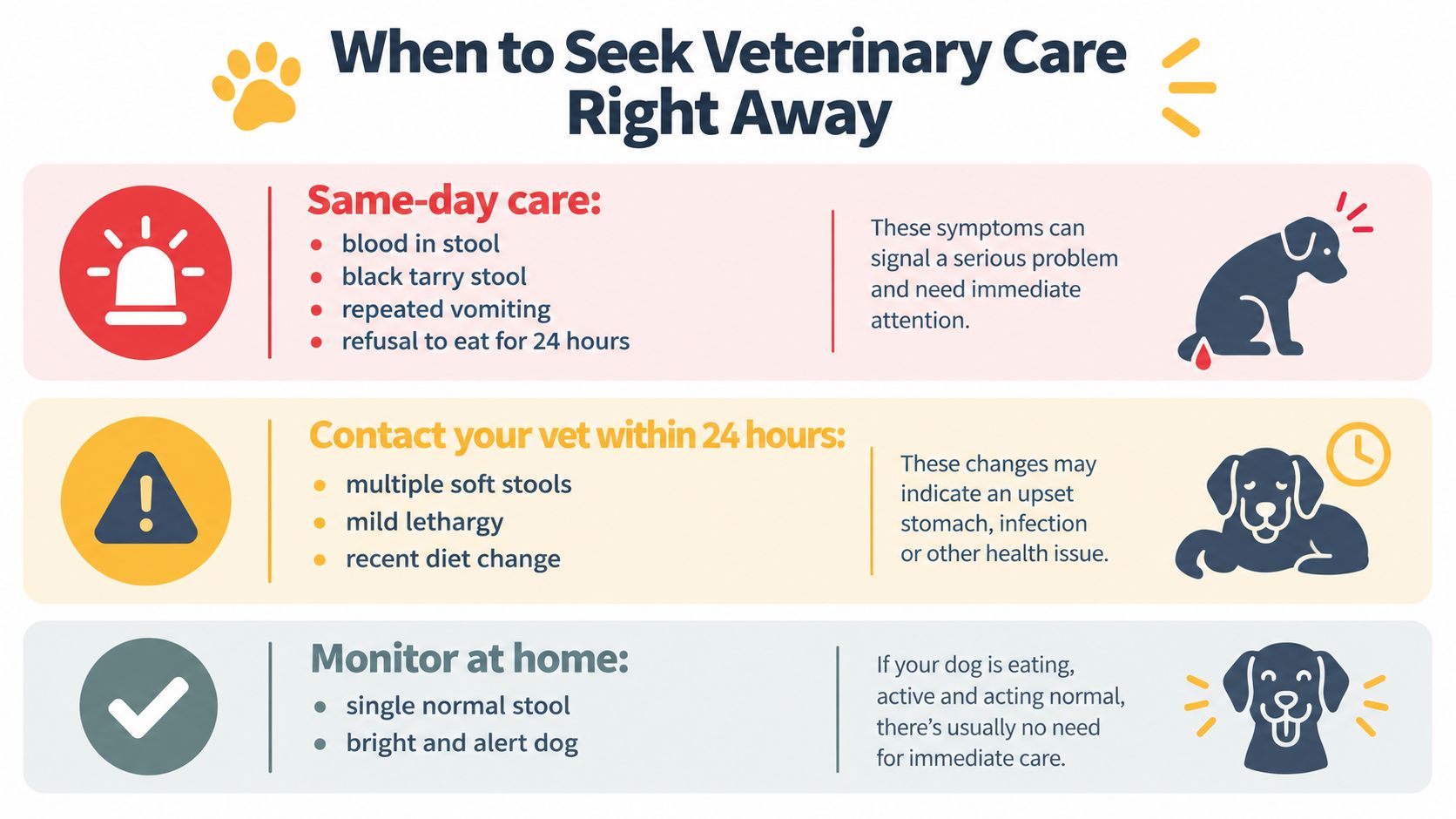 A color-coded infographic showing when to seek veterinary care for dogs based on symptoms and health.
