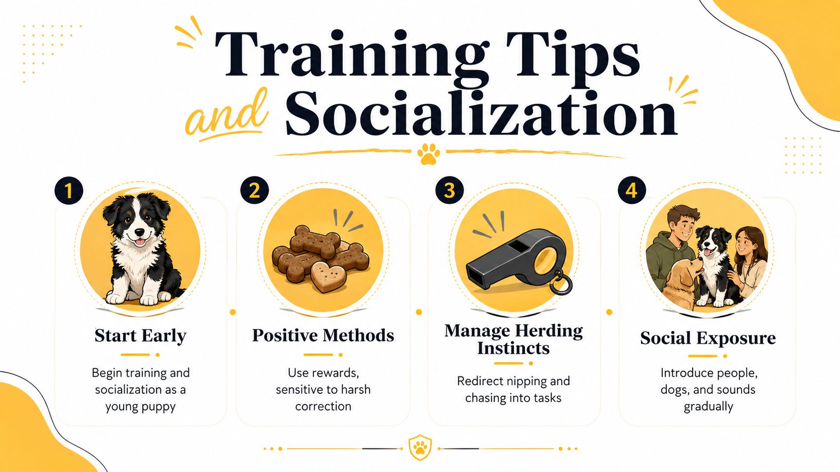 An educational infographic outlining four essential training and socialization tips for young puppies with illustrated icons.