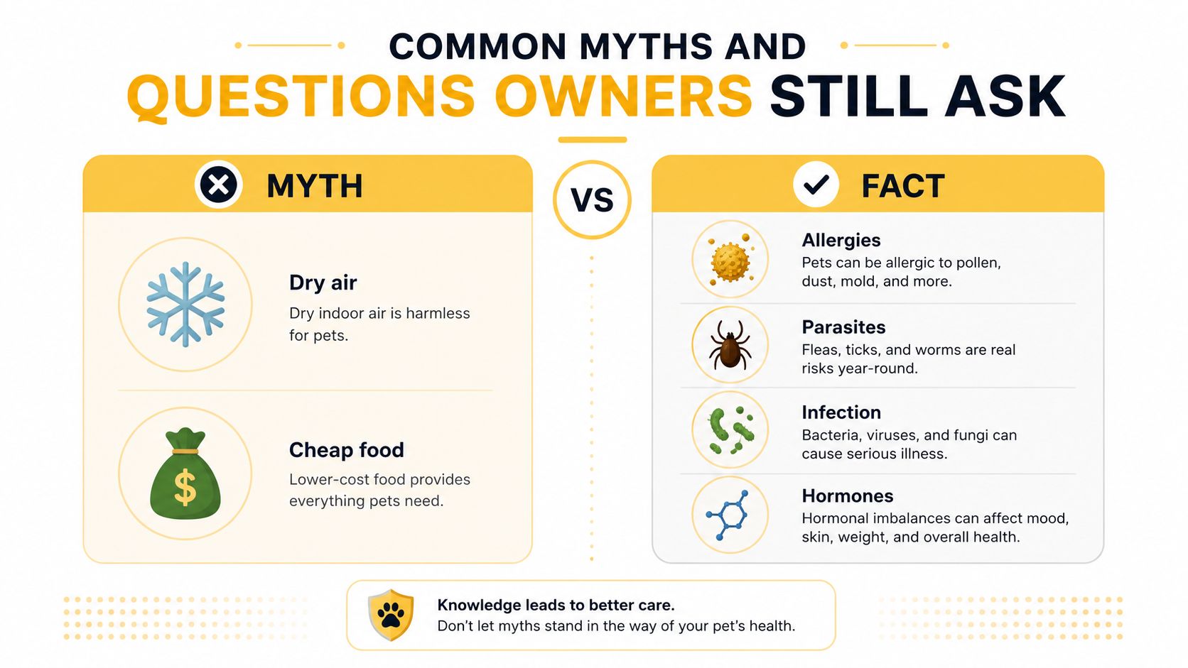 An infographic titled common myths and questions owners still ask comparing pet health misconceptions with factual realities.