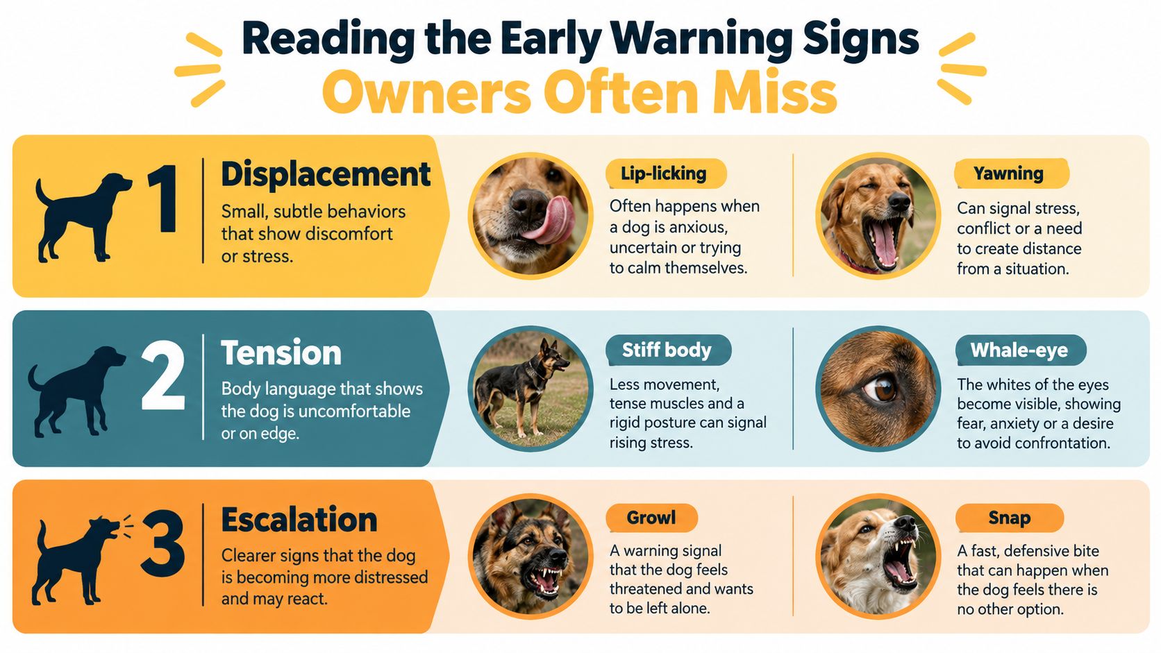 An educational infographic outlining early warning signs of canine stress and potential aggression in dogs.