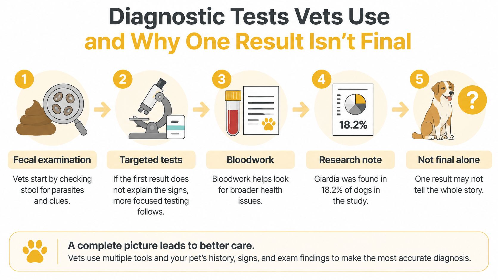 A diagram illustrating the diagnostic process vets use for pets, emphasizing that multiple tests are necessary.