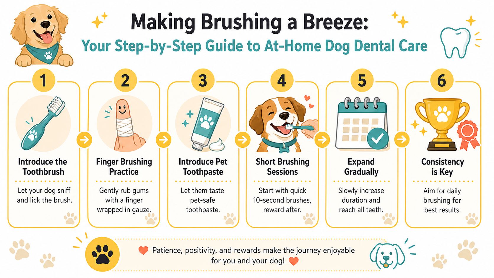 A six-step infographic illustrating how to properly brush your dog's teeth for at-home dental care.