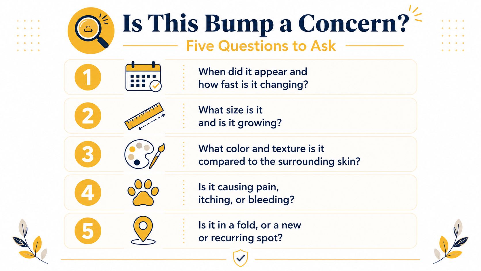 An infographic titled Is This Bump a Concern providing five key questions for assessing skin bumps on pets.