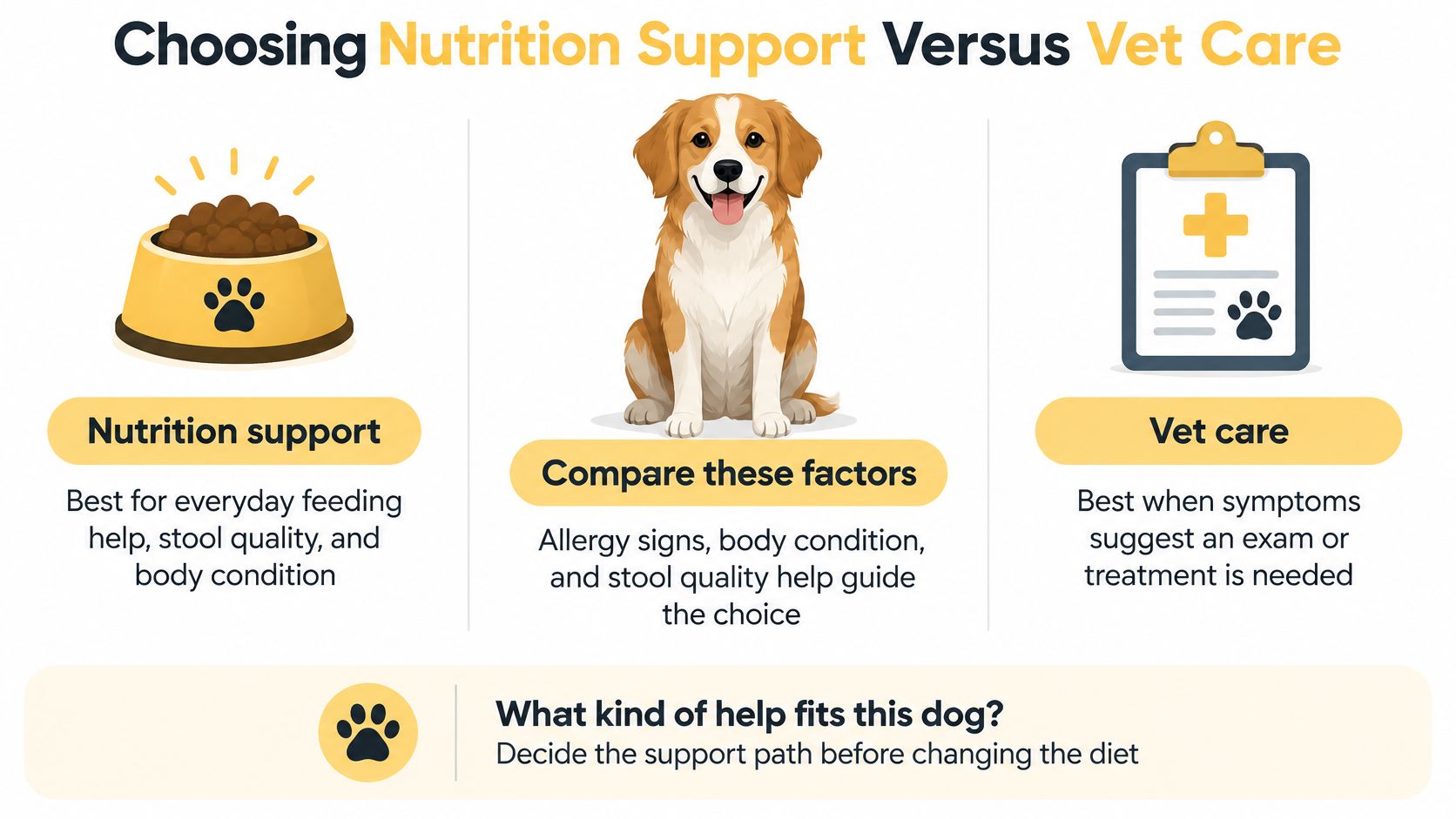 An infographic guiding pet owners on choosing between nutrition support and professional veterinary care for their dog.