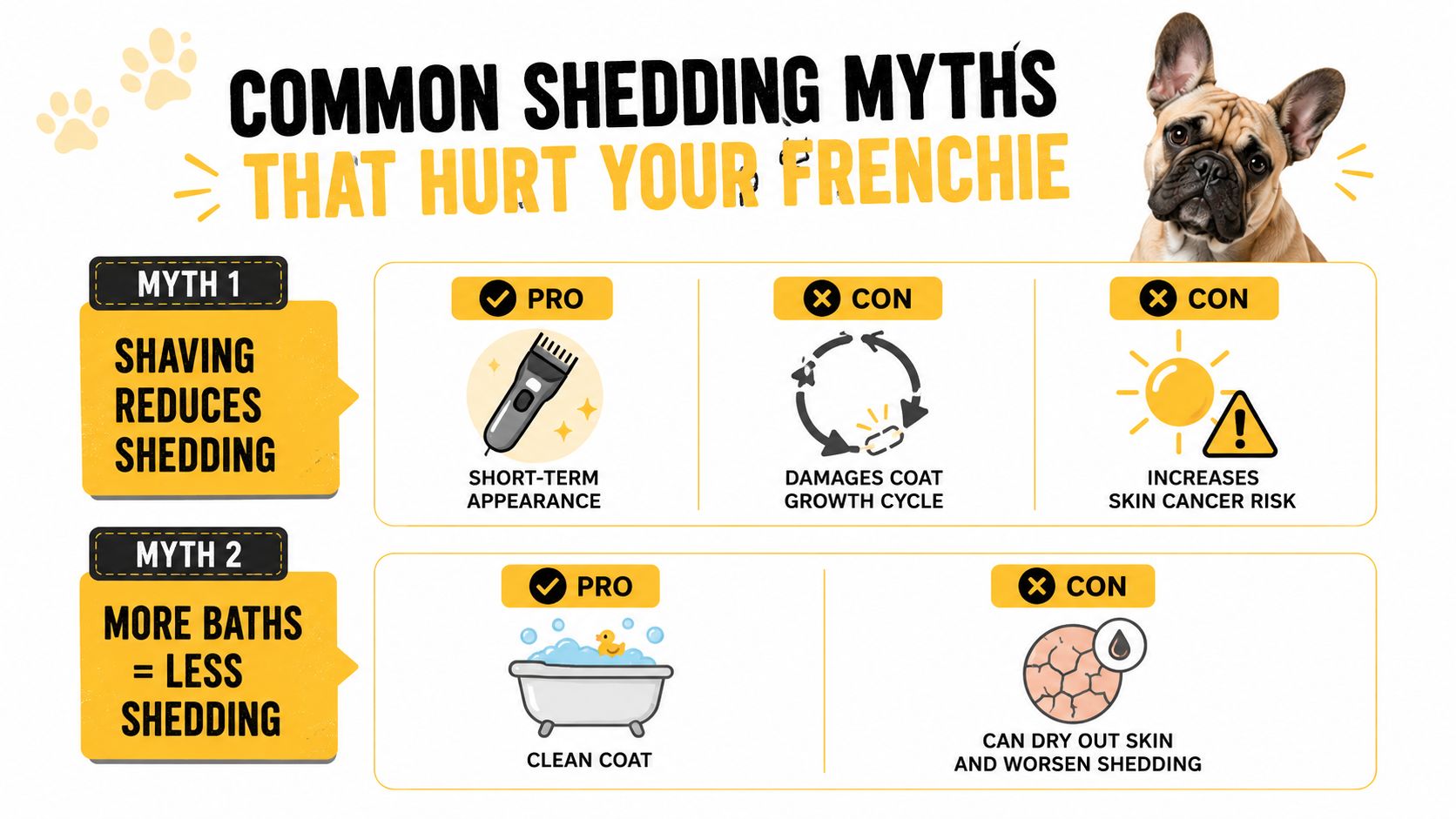 An infographic debunking common shedding myths for French Bulldogs, specifically regarding shaving and bathing frequency.