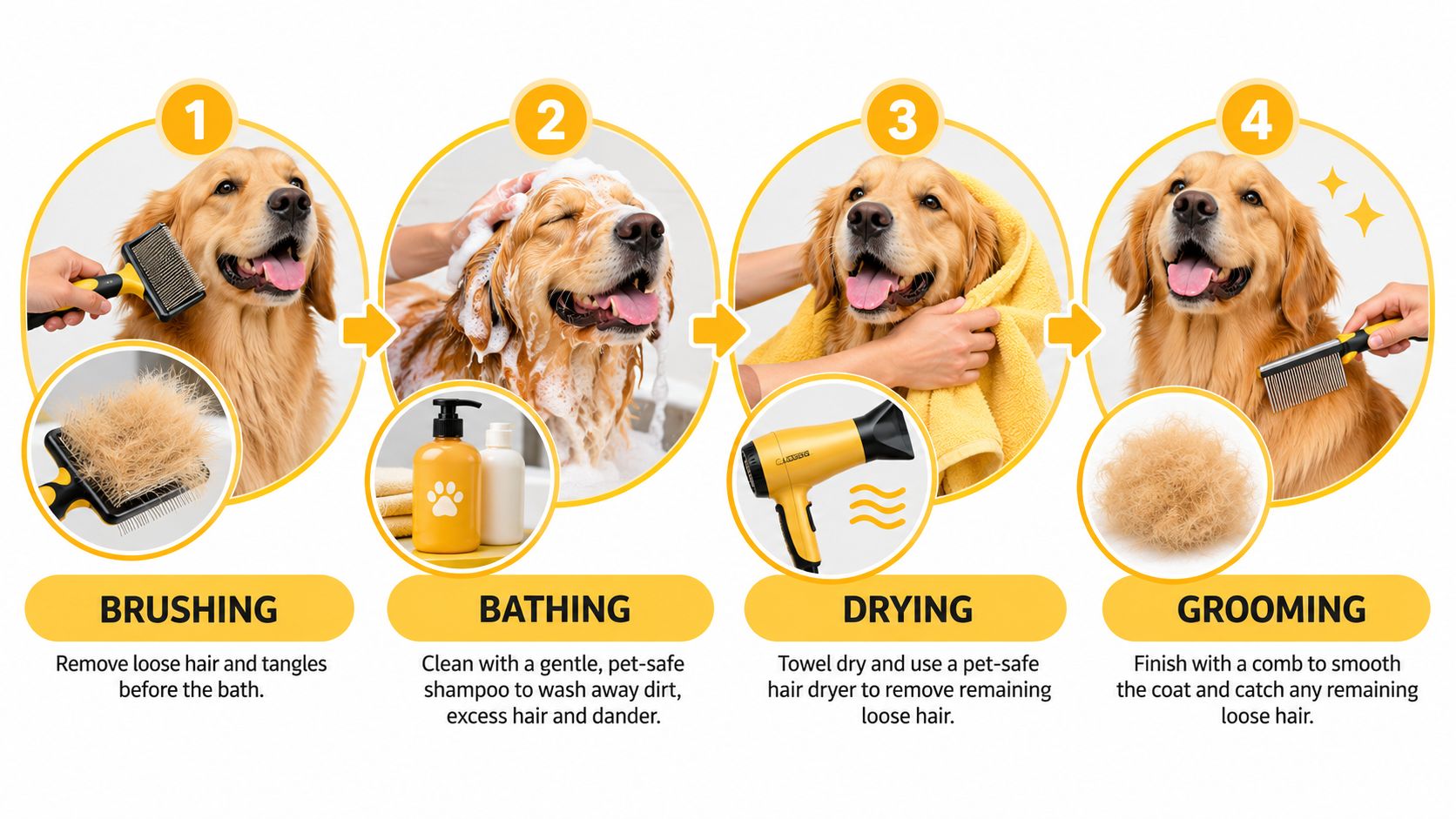 A step-by-step infographic illustrating the grooming process for a long-haired dog including brushing, bathing, drying, and combing.