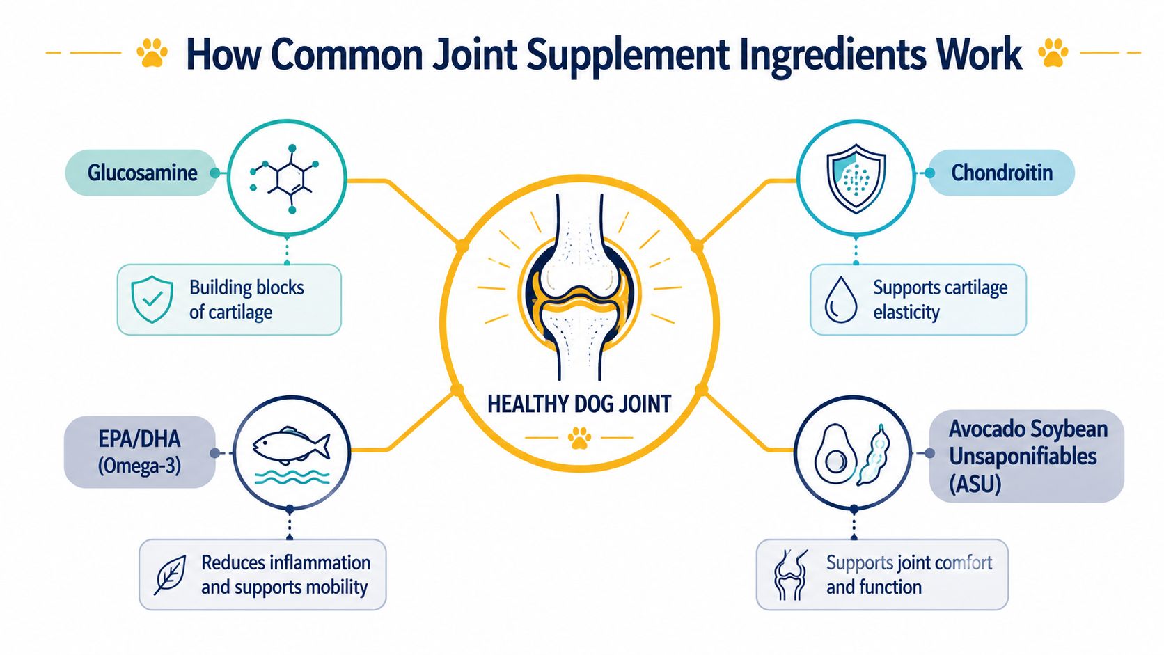 A diagram explaining how common joint supplements like glucosamine and omega-3 support healthy dog joints.