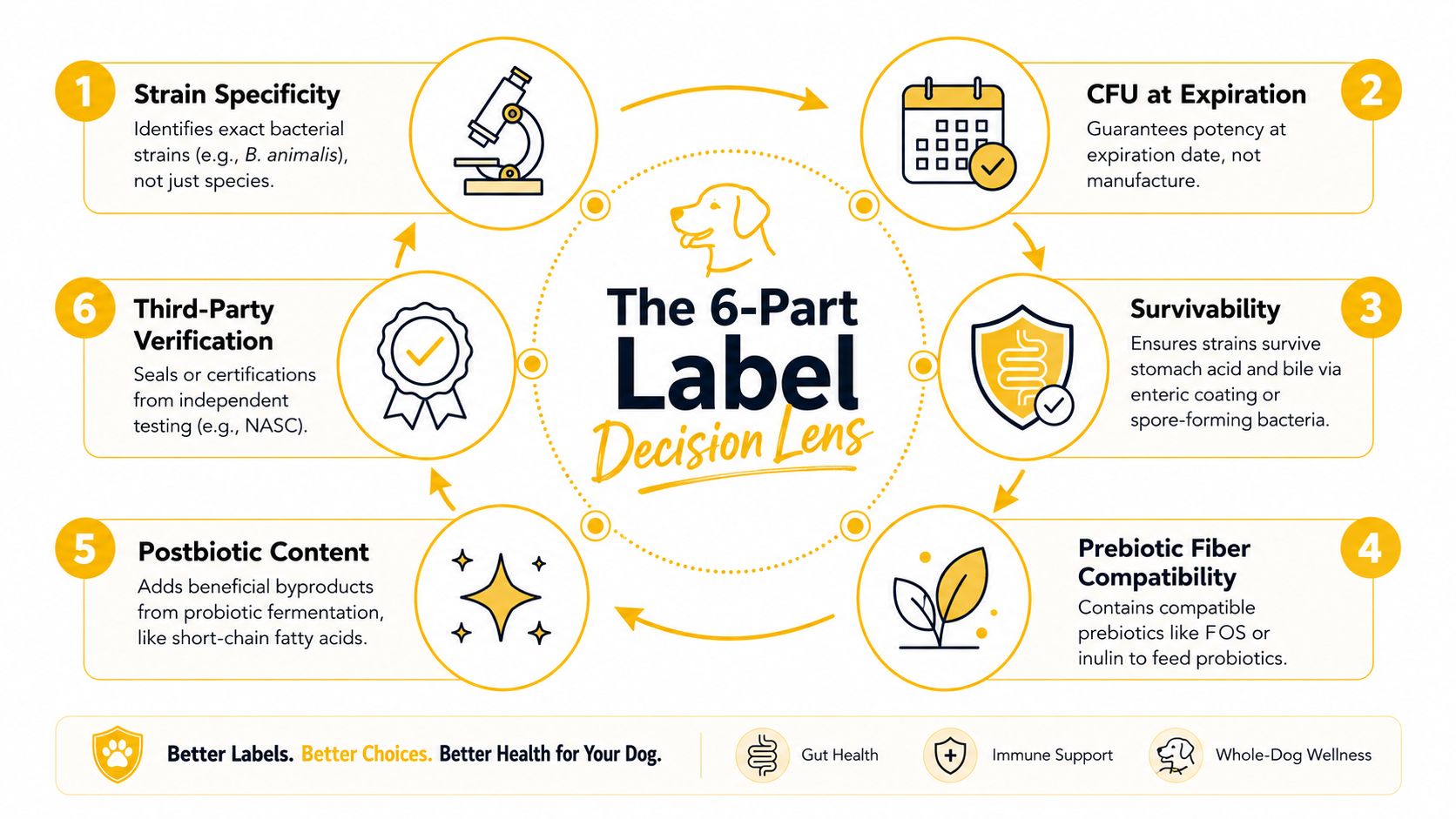 A six-part infographic outlining key factors for choosing high-quality dog probiotic supplements for better pet health.