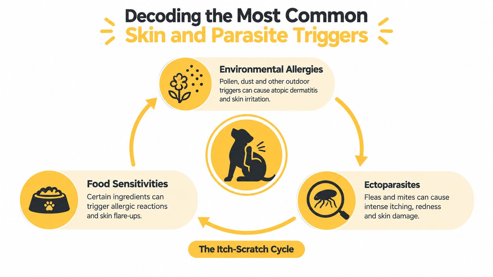 An educational infographic explaining the three common triggers for dog skin issues: environmental allergies, food sensitivities, and ectoparasites.