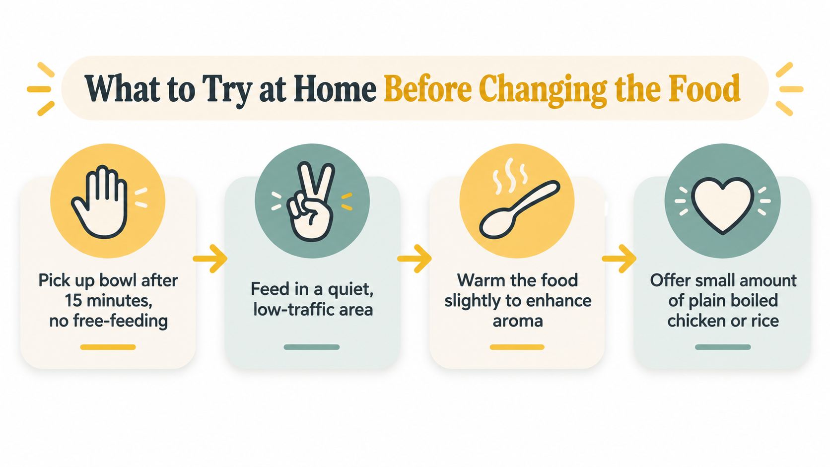 An infographic showing four steps to encourage a pet to eat before changing their food brand.