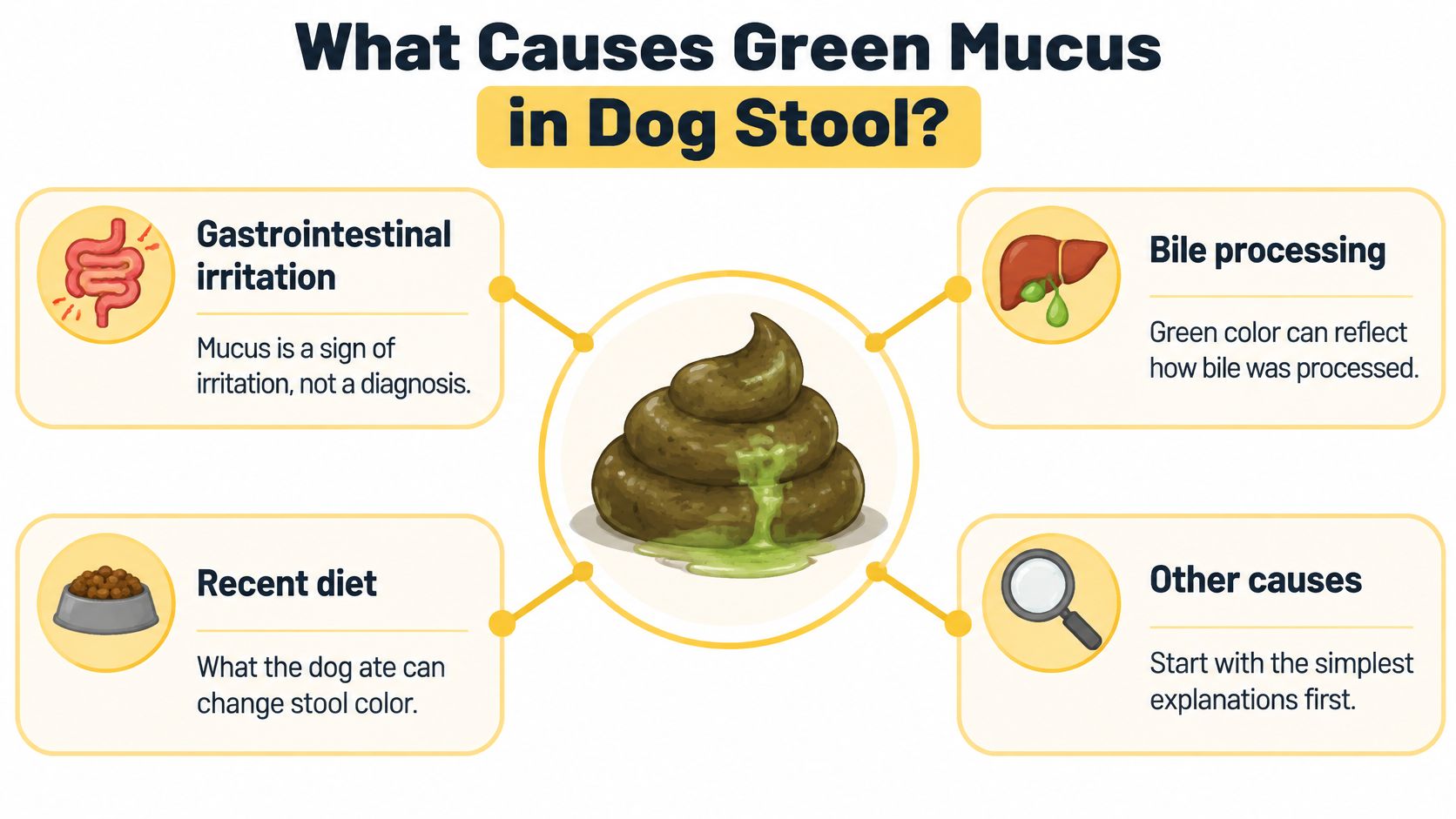 An infographic explaining the potential causes of green mucus in a dog's stool, including diet and irritation.