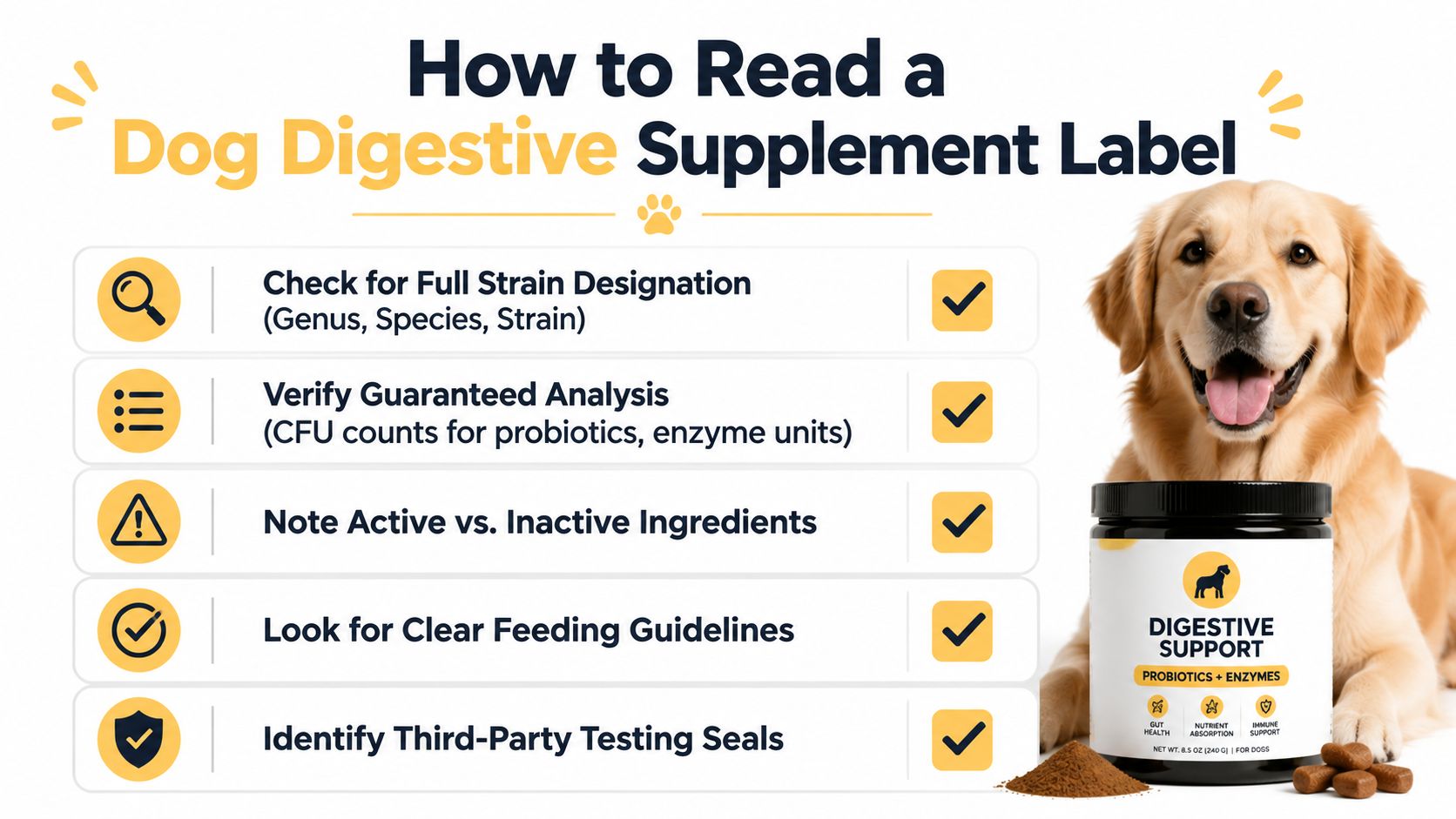 An infographic titled How to Read a Dog Digestive Supplement Label with a dog and supplement tub.