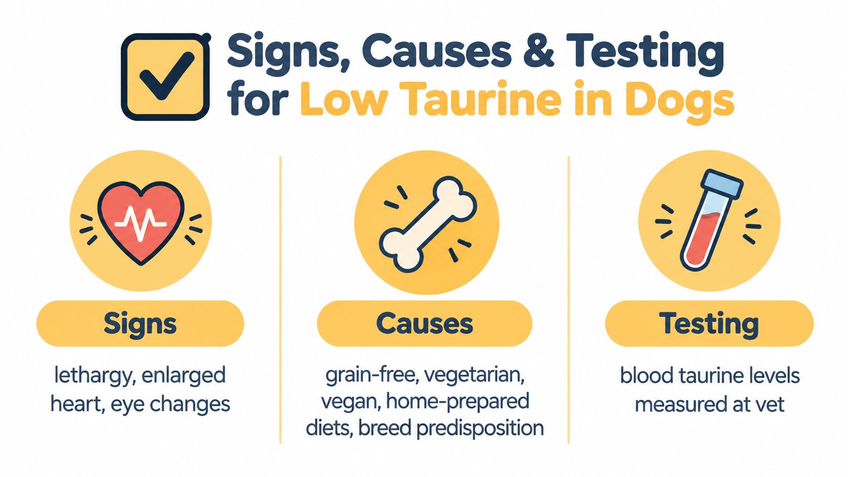 An infographic titled Signs, Causes, and Testing for Low Taurine in Dogs explaining its symptoms, dietary causes, and diagnosis.