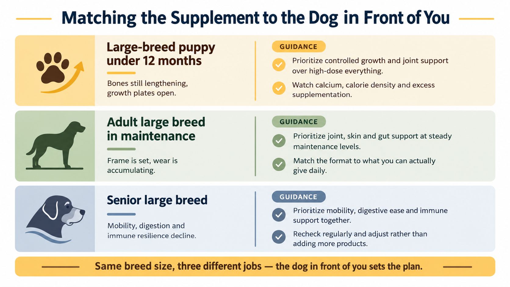 A chart detailing nutritional supplement guidance for large breed dogs at puppy, adult, and senior life stages.