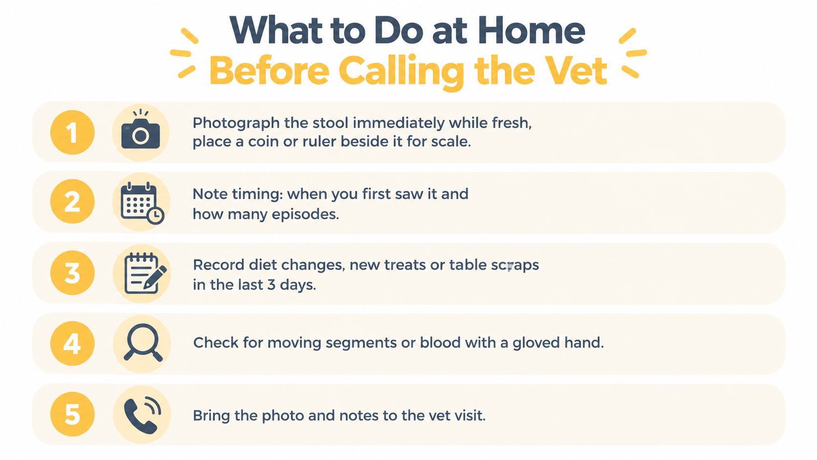 An infographic titled What to Do at Home Before Calling the Vet listing five steps for stool observation.