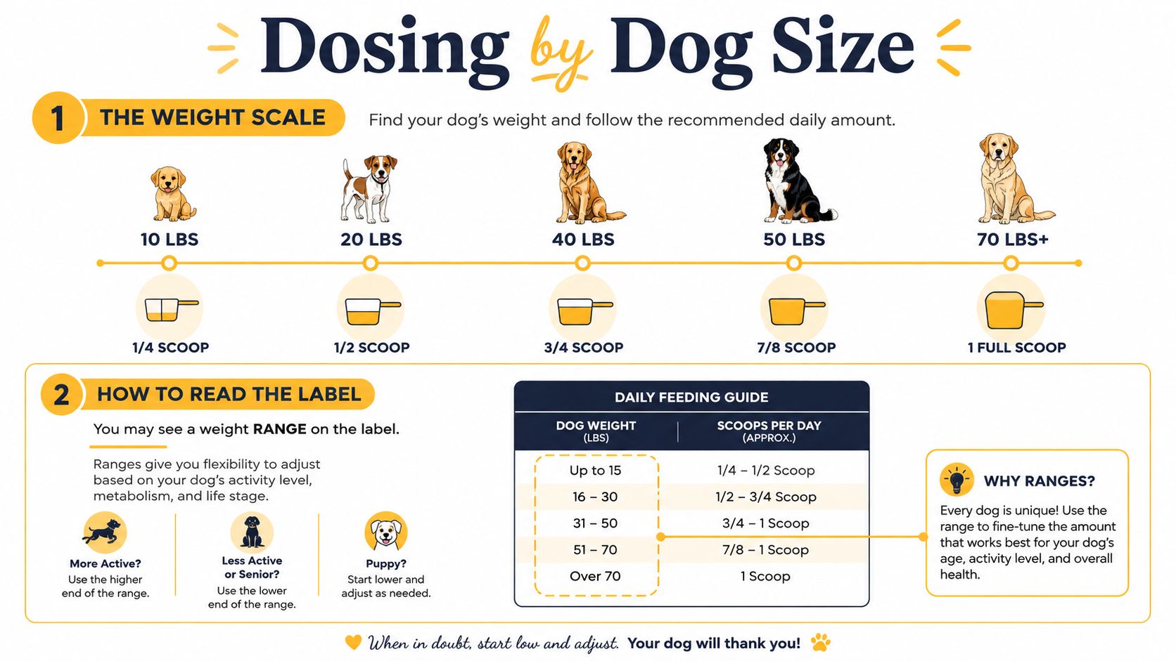 An infographic showing the daily feeding guide for dogs based on their weight using scoop measurements.
