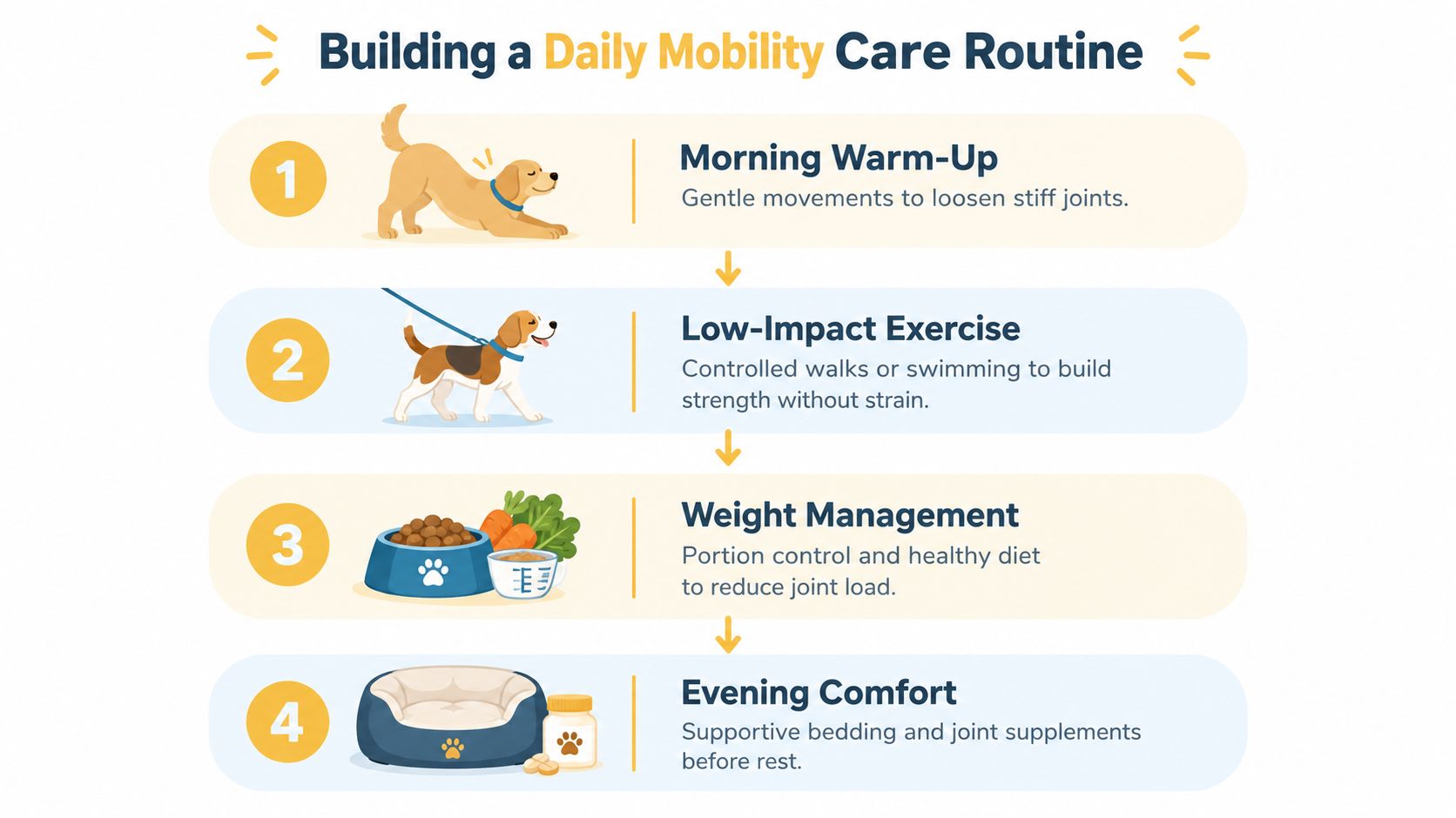 An infographic titled Building a Daily Mobility Care Routine for dogs featuring four steps for joint health.