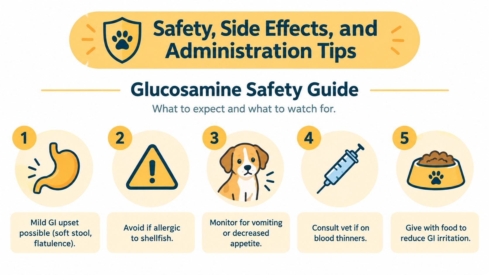 An infographic titled Glucosamine Safety Guide for dogs, listing five important tips on safety and potential side effects.