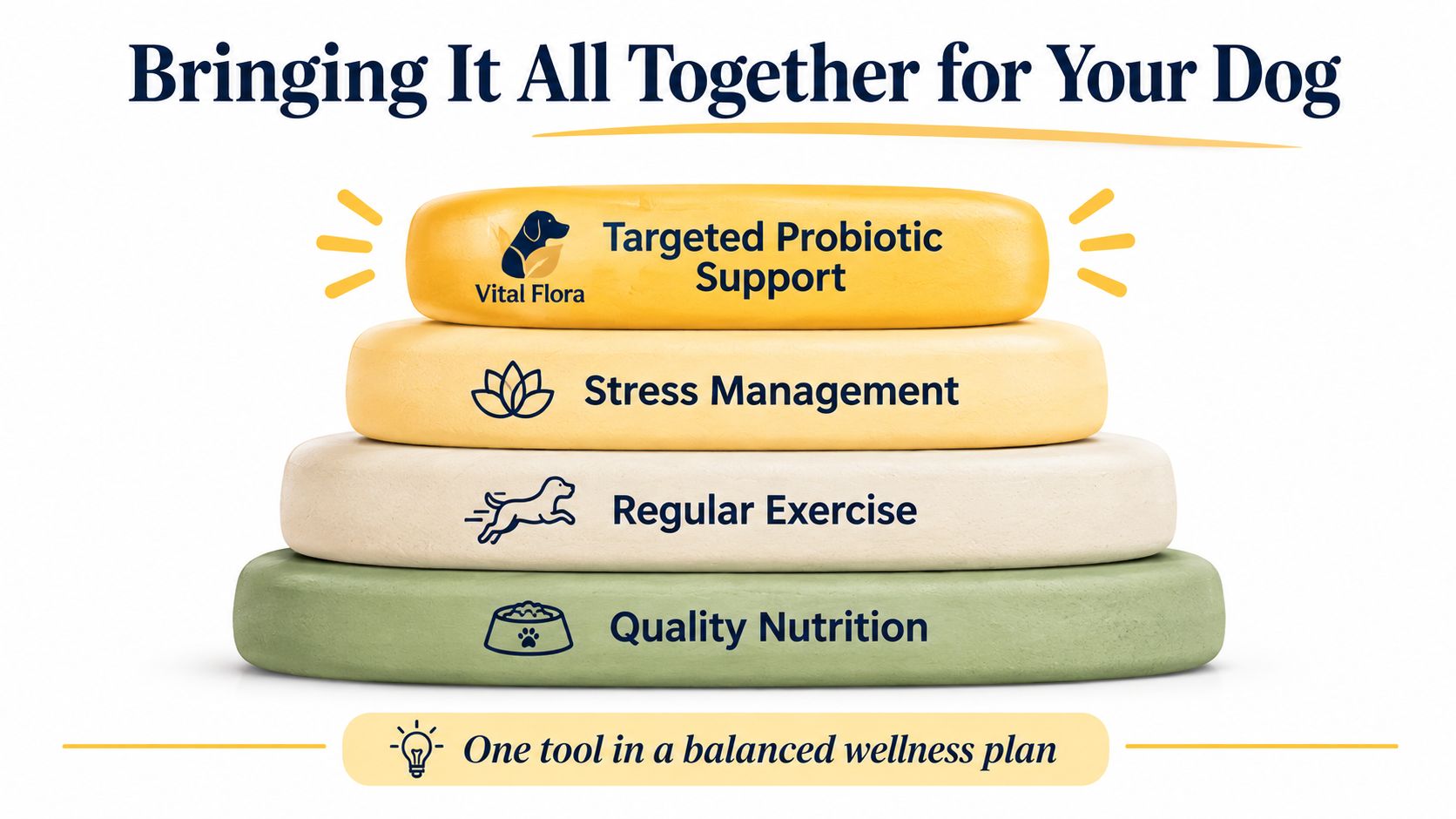 A pyramid illustration depicting the four pillars of dog wellness, including vital flora probiotic support.