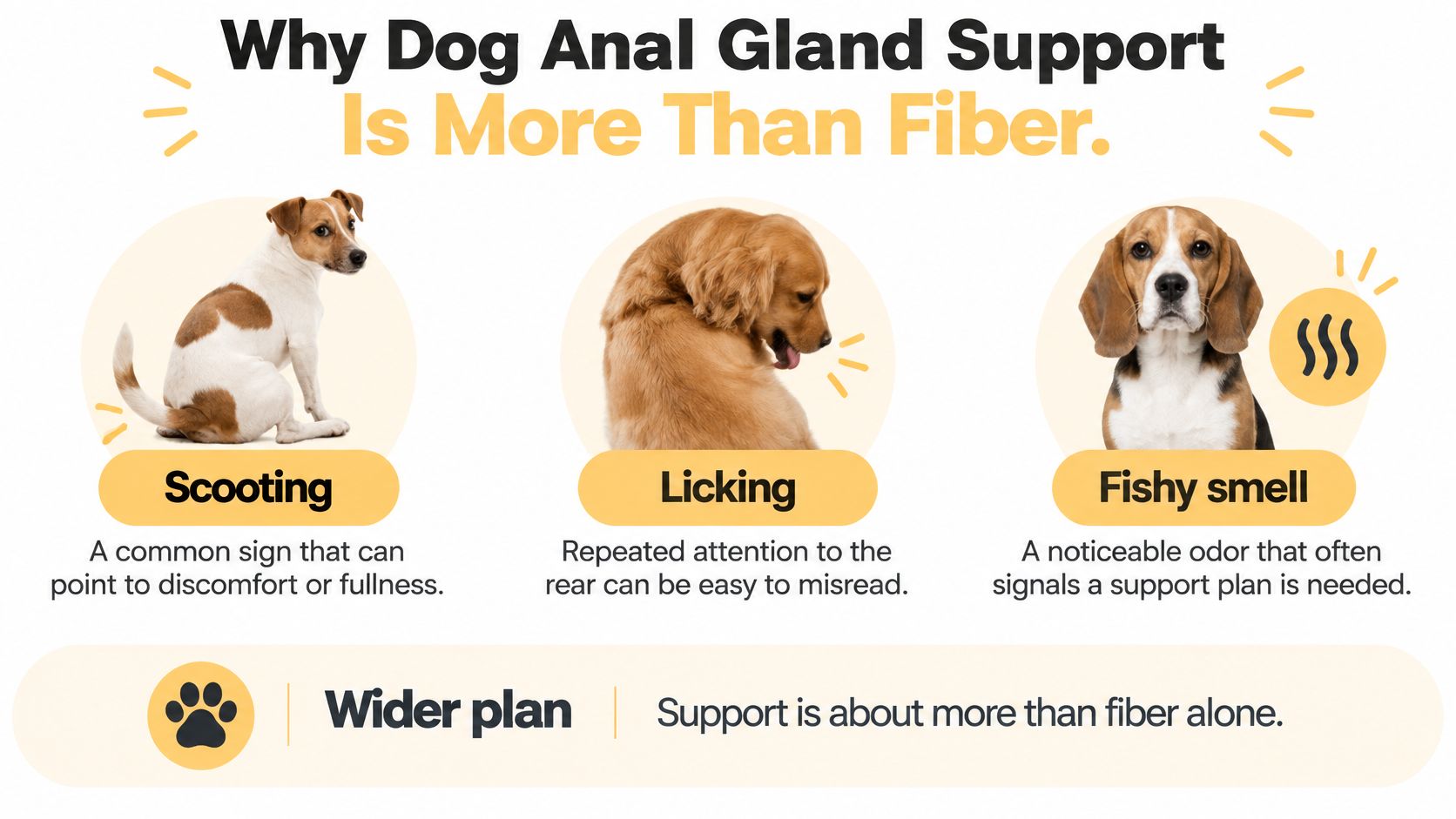 An infographic showing three dog behaviors signaling the need for anal gland support including scooting, licking, and odor.