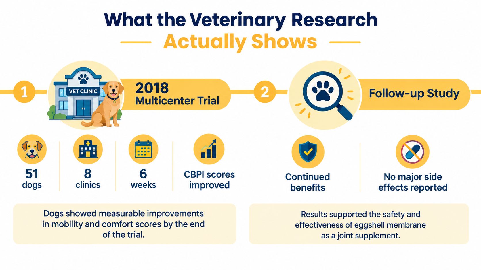 An infographic summarizing two veterinary research studies on the effectiveness of eggshell membrane supplements for dogs.
