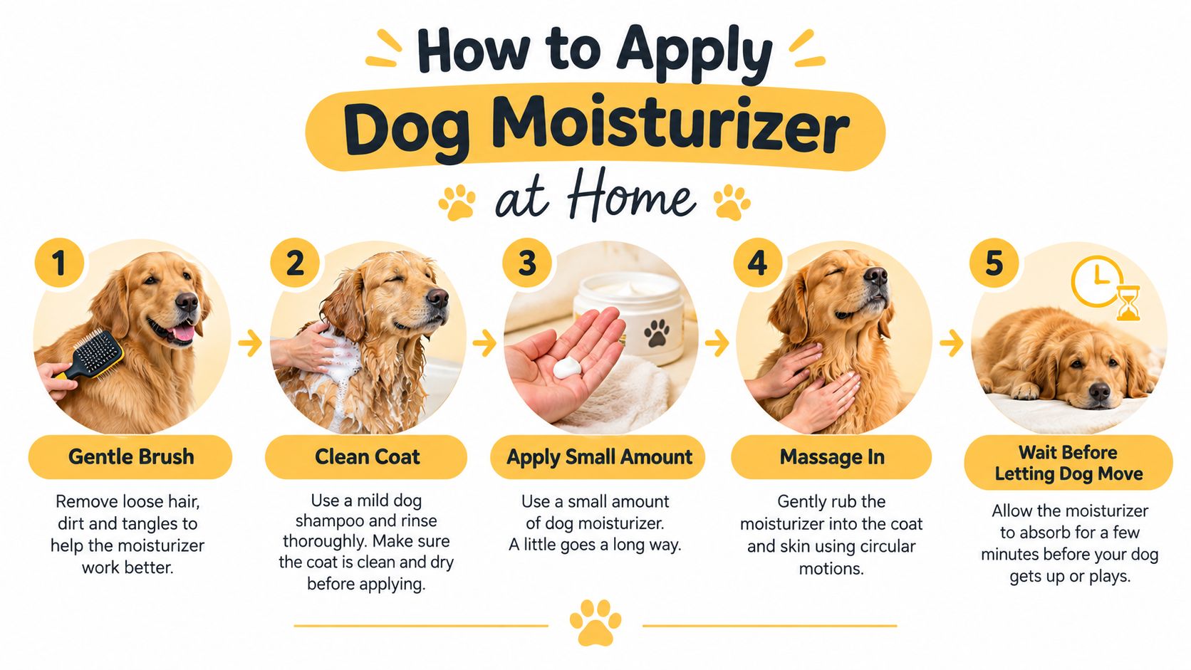An infographic showing five easy steps to properly apply moisturizer to a dog's coat at home.