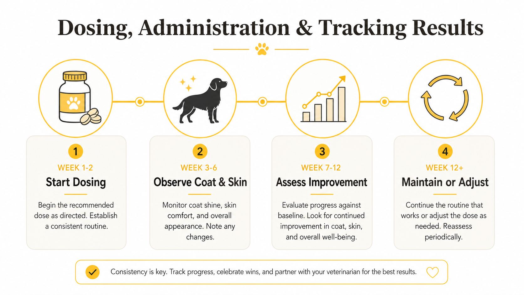 A four-step infographic showing the recommended timeline for dosing and tracking results of a dog skin supplement.
