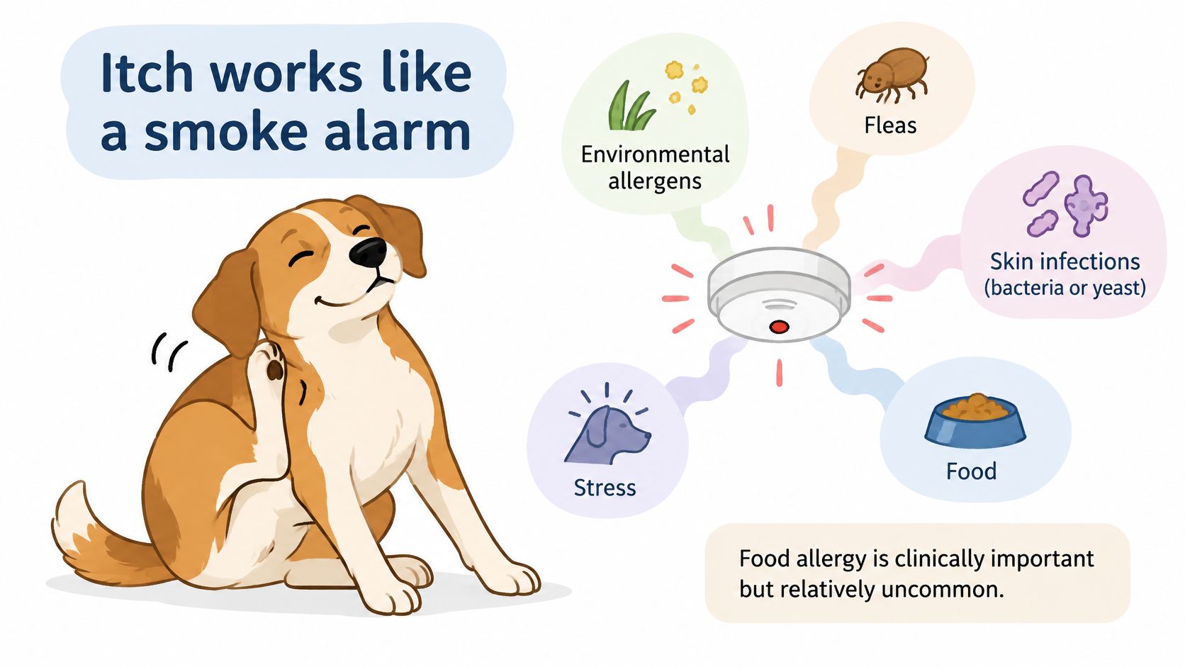 A diagram illustrating that dog itching is like a smoke alarm, triggered by various common health factors.