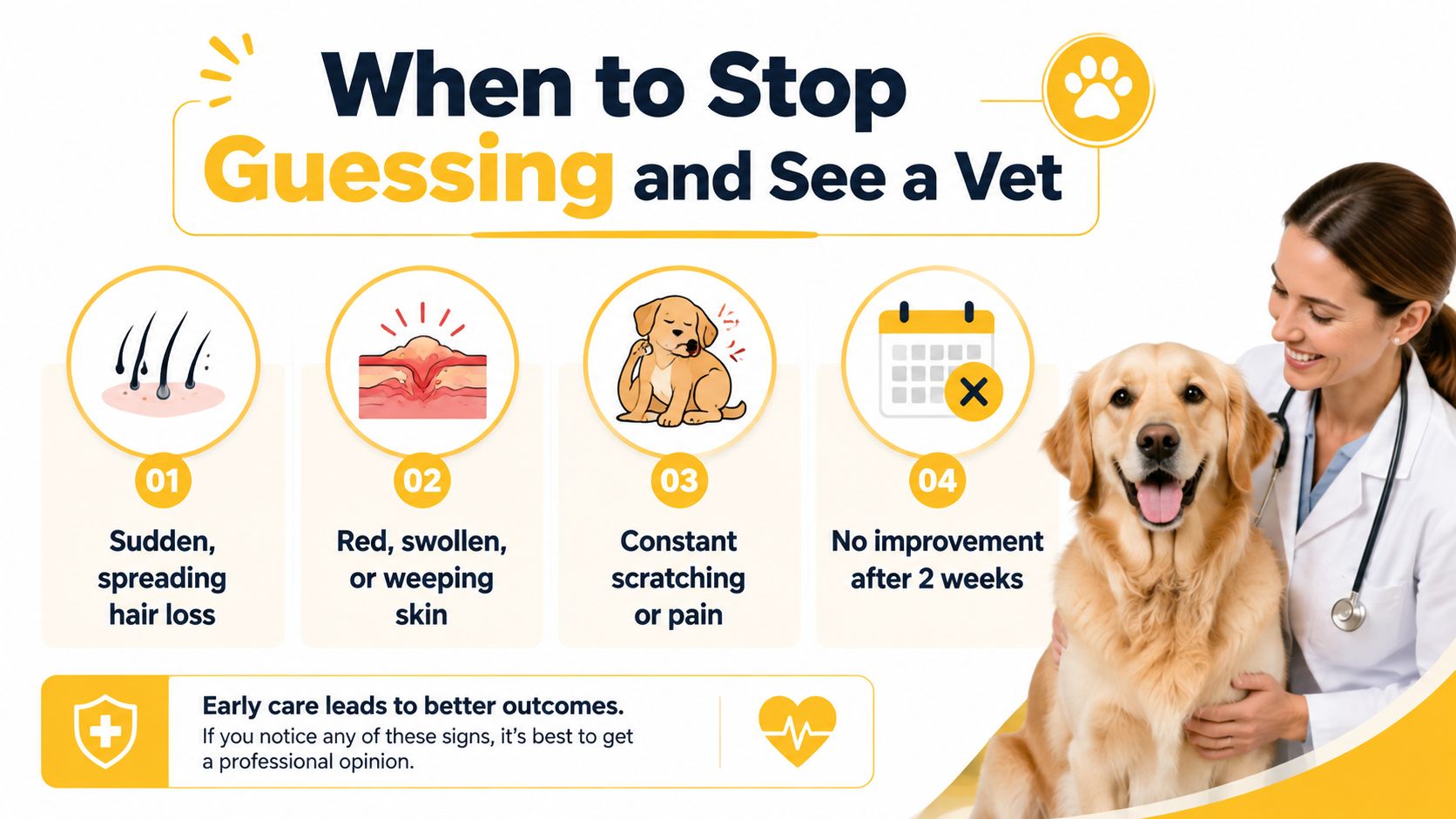An infographic showing four signs of pet skin issues including hair loss and scratching to see a veterinarian.