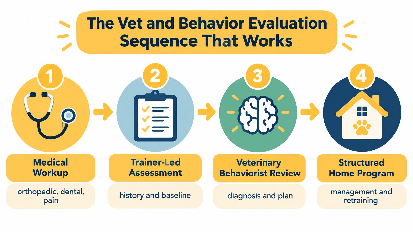 A four-step infographic illustrating a veterinary and behavioral evaluation sequence for pets starting with medical workups.