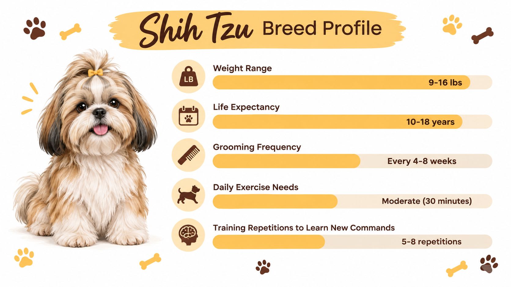 An infographic showing the breed profile of a Shih Tzu with statistics like weight, lifespan, and grooming.