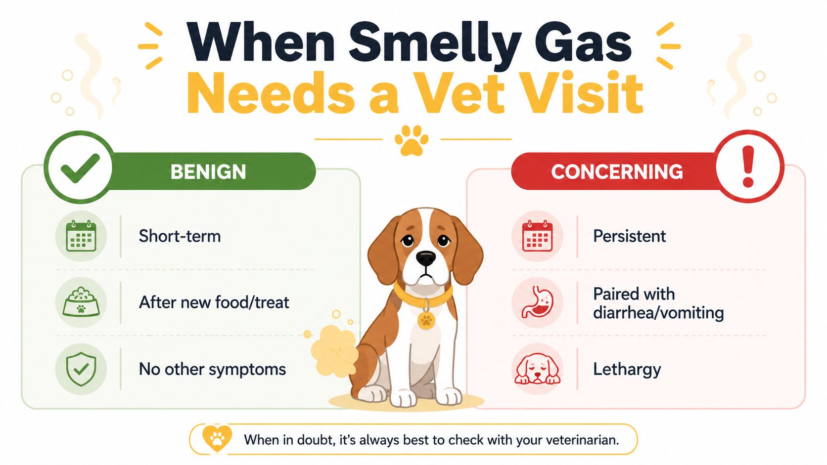 An infographic showing when dog flatulence is benign versus concerning, suggesting when to see a veterinarian.