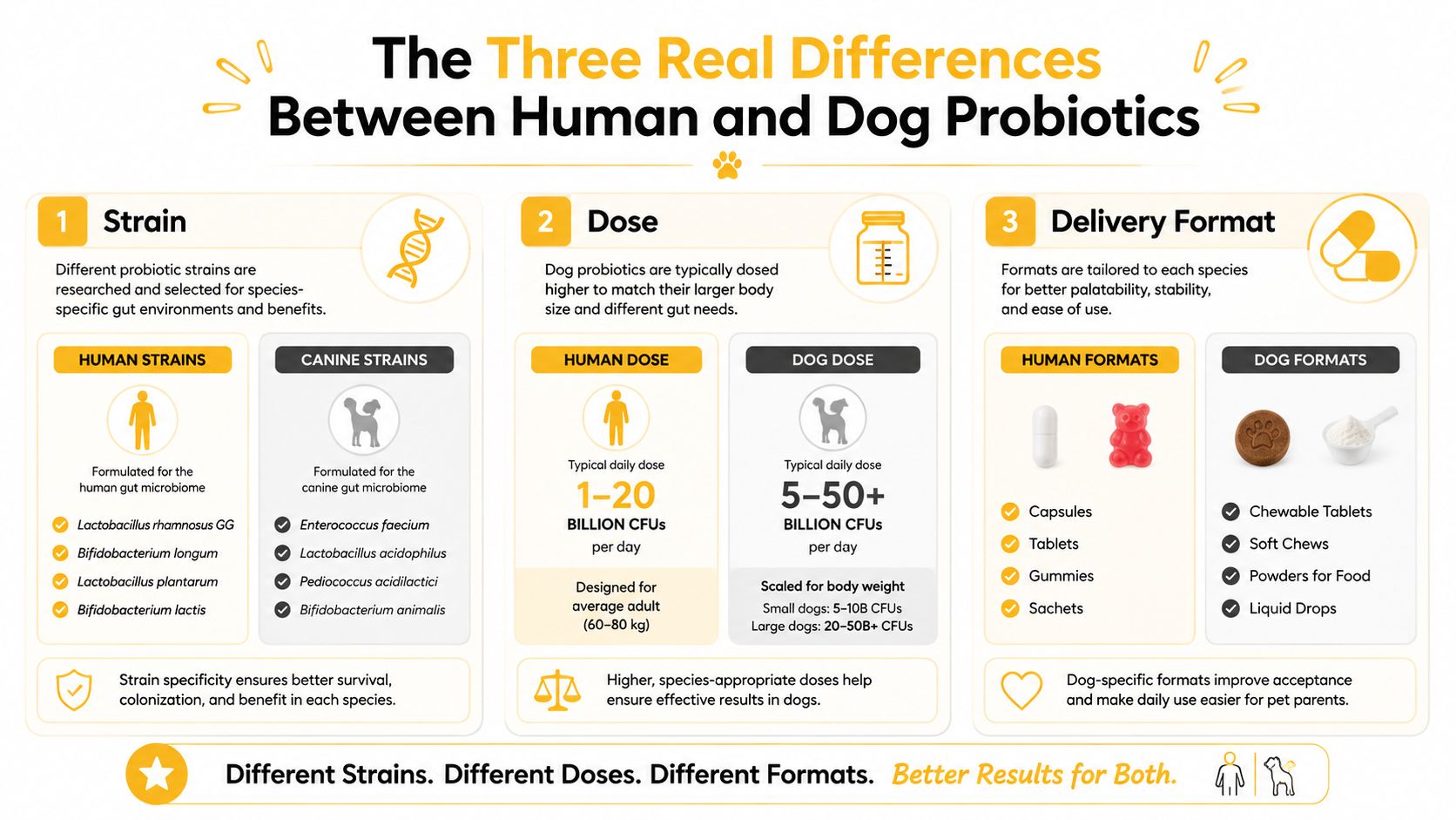 An infographic comparing differences in probiotic strains, doses, and delivery formats between humans and dogs.