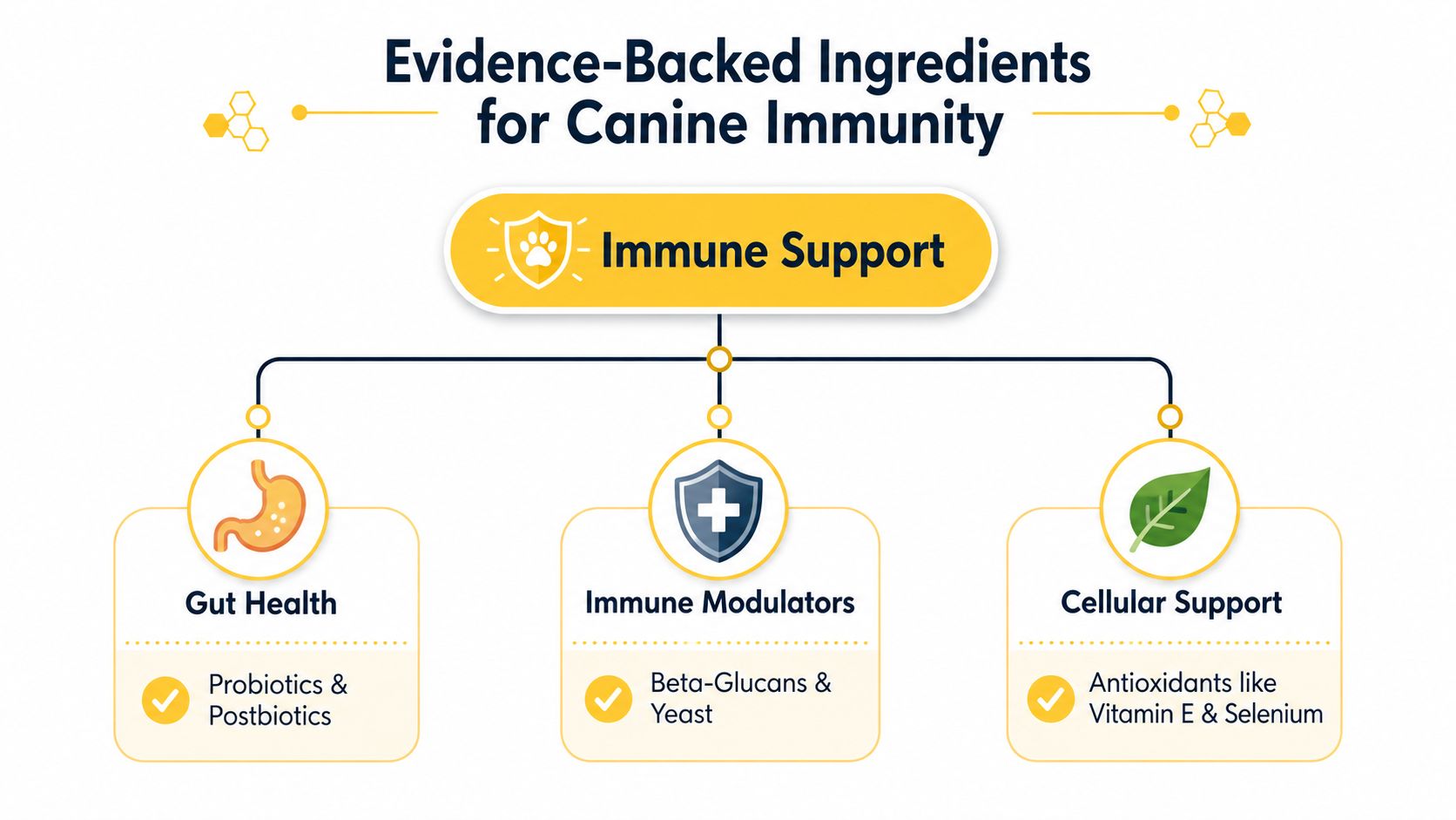 A diagram illustrating evidence-backed ingredients for canine immunity, categorizing them into gut health, immune modulators, and cellular support.