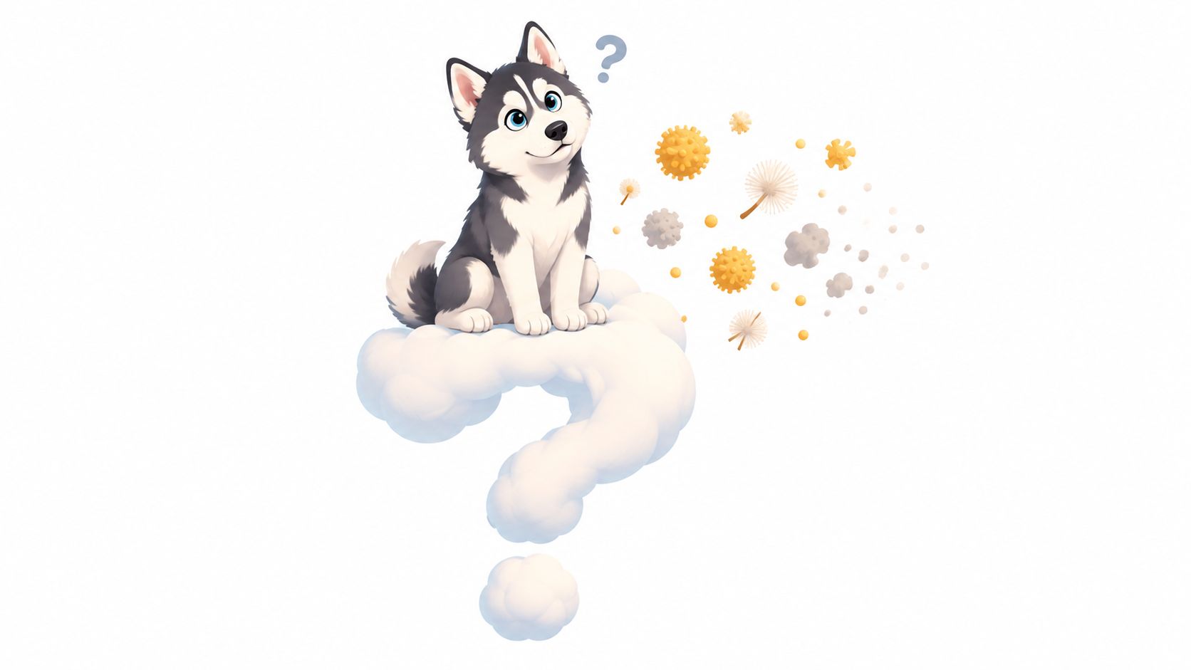 A cute Siberian husky sitting on a fluffy cloud shaped like a question mark near floating allergens.