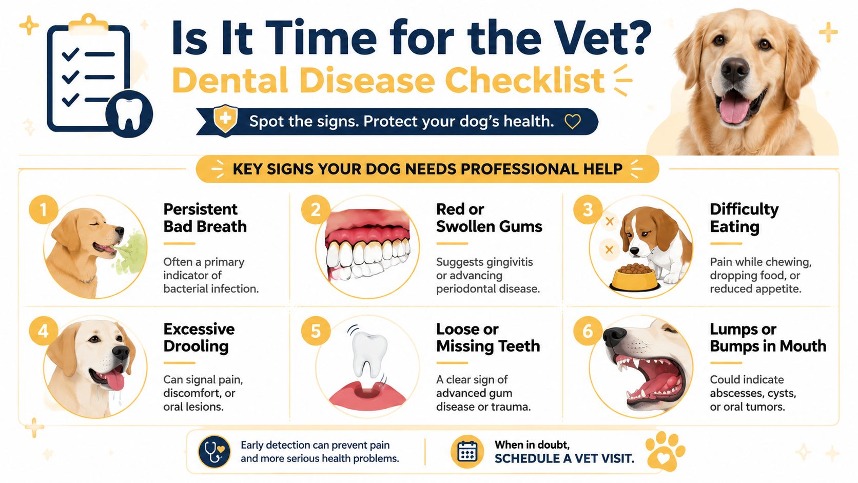An infographic titled Is It Time for the Vet? listing six key signs of dental disease in dogs.