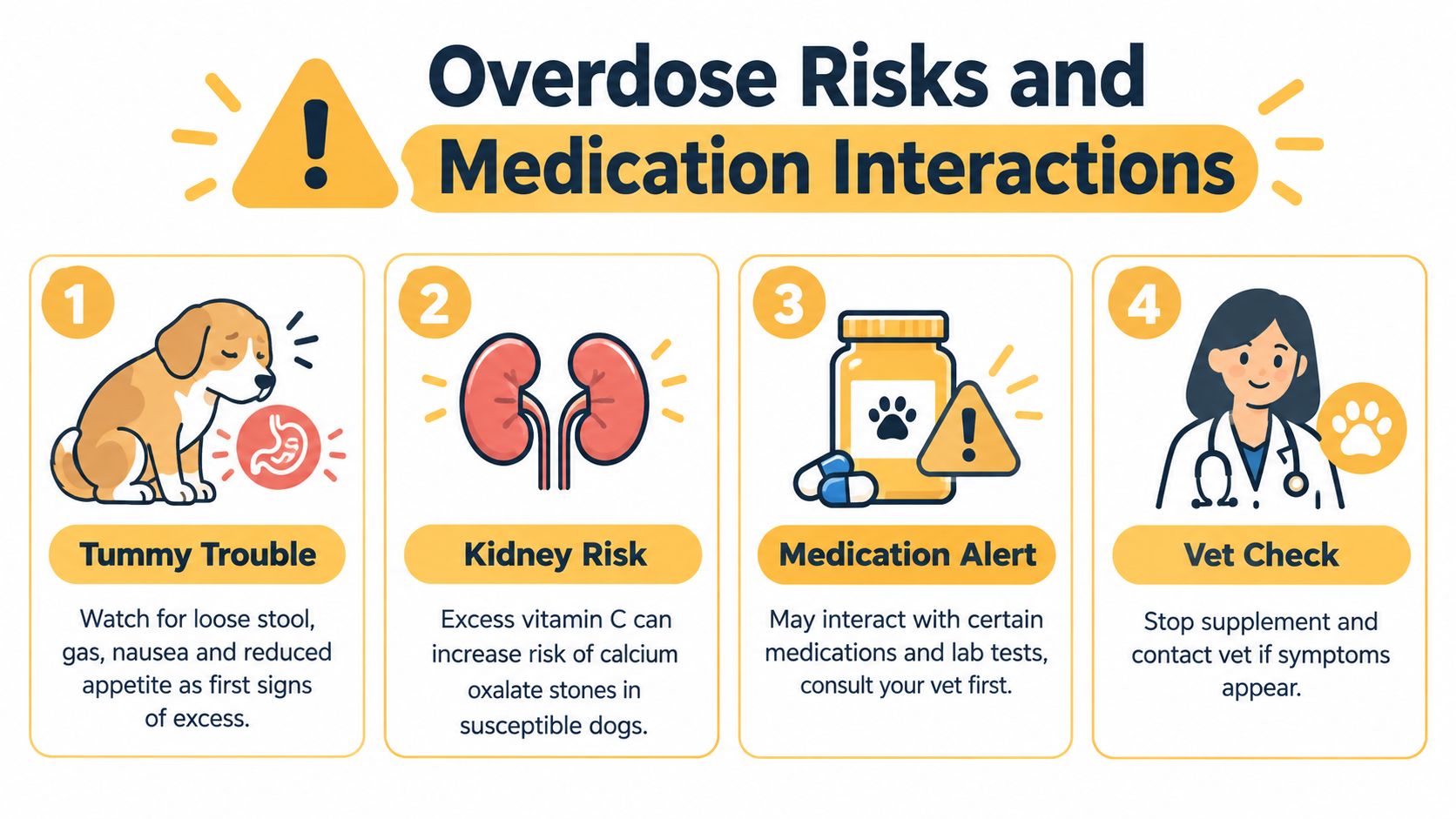 An infographic detailing four primary risks and medication interactions associated with vitamin C supplements for dogs.
