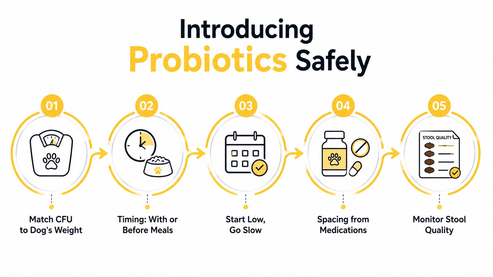 An infographic showing five steps for introducing probiotics to a dog safely, from dosing to monitoring.