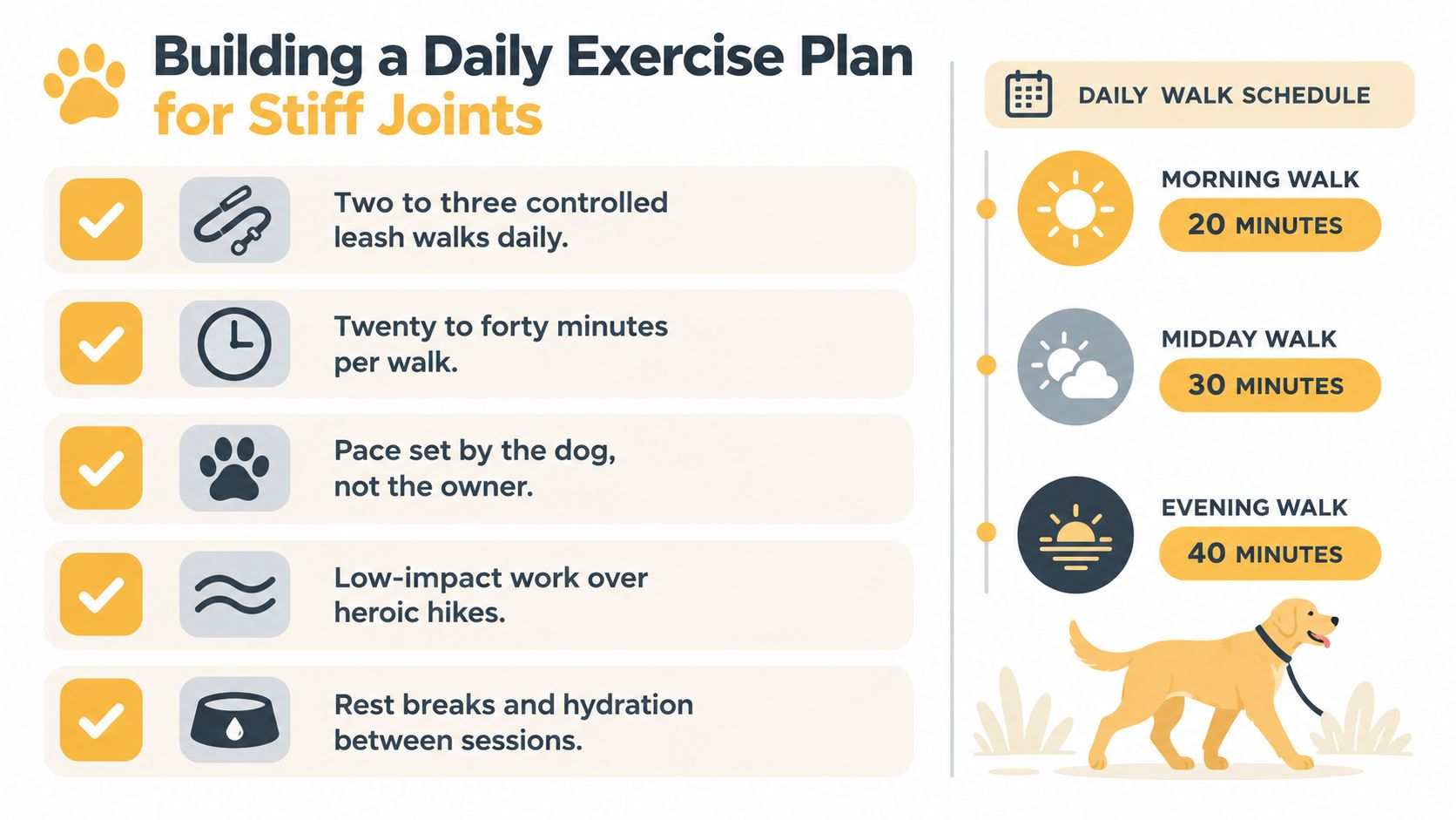 An infographic titled Building a Daily Exercise Plan for Stiff Joints, providing guidelines for dog walking schedules.