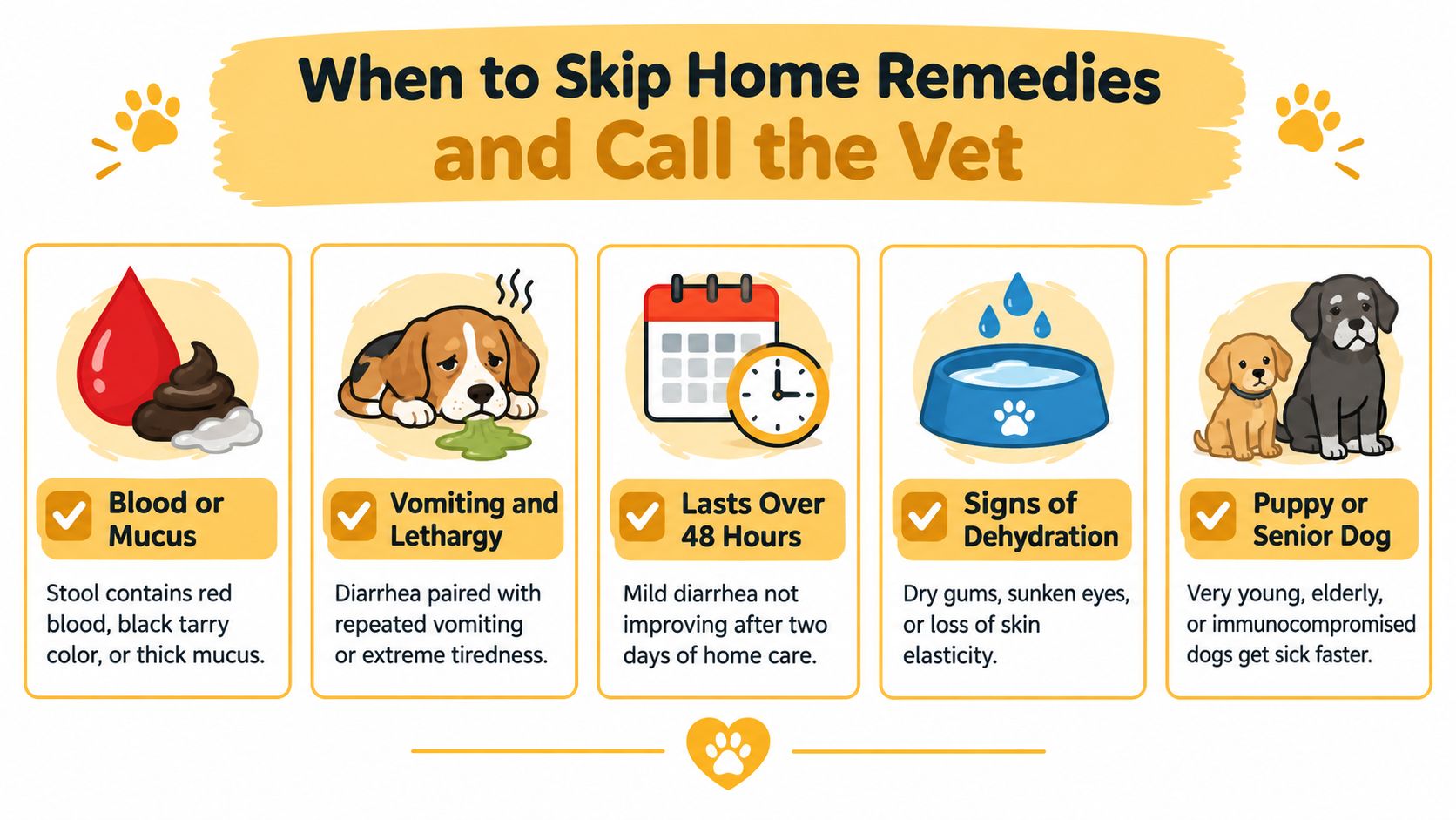 An infographic detailing five critical warning signs indicating when to consult a veterinarian for dog diarrhea.